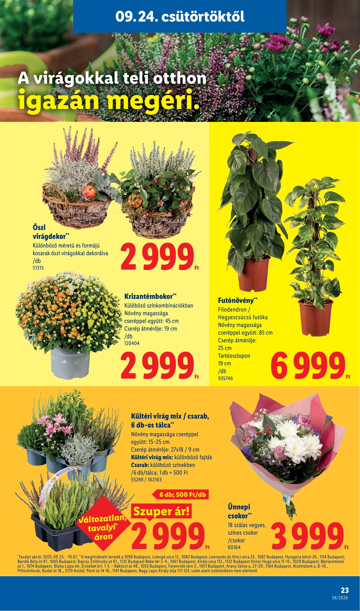 Flyer page 23