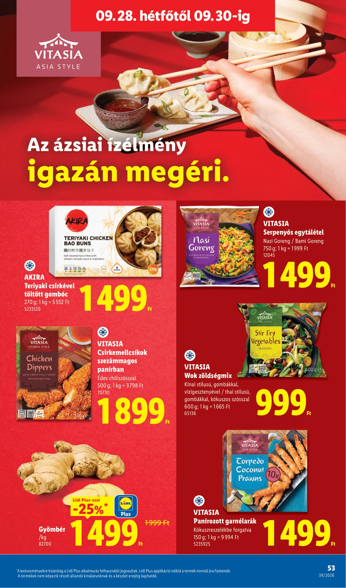 Flyer page 53