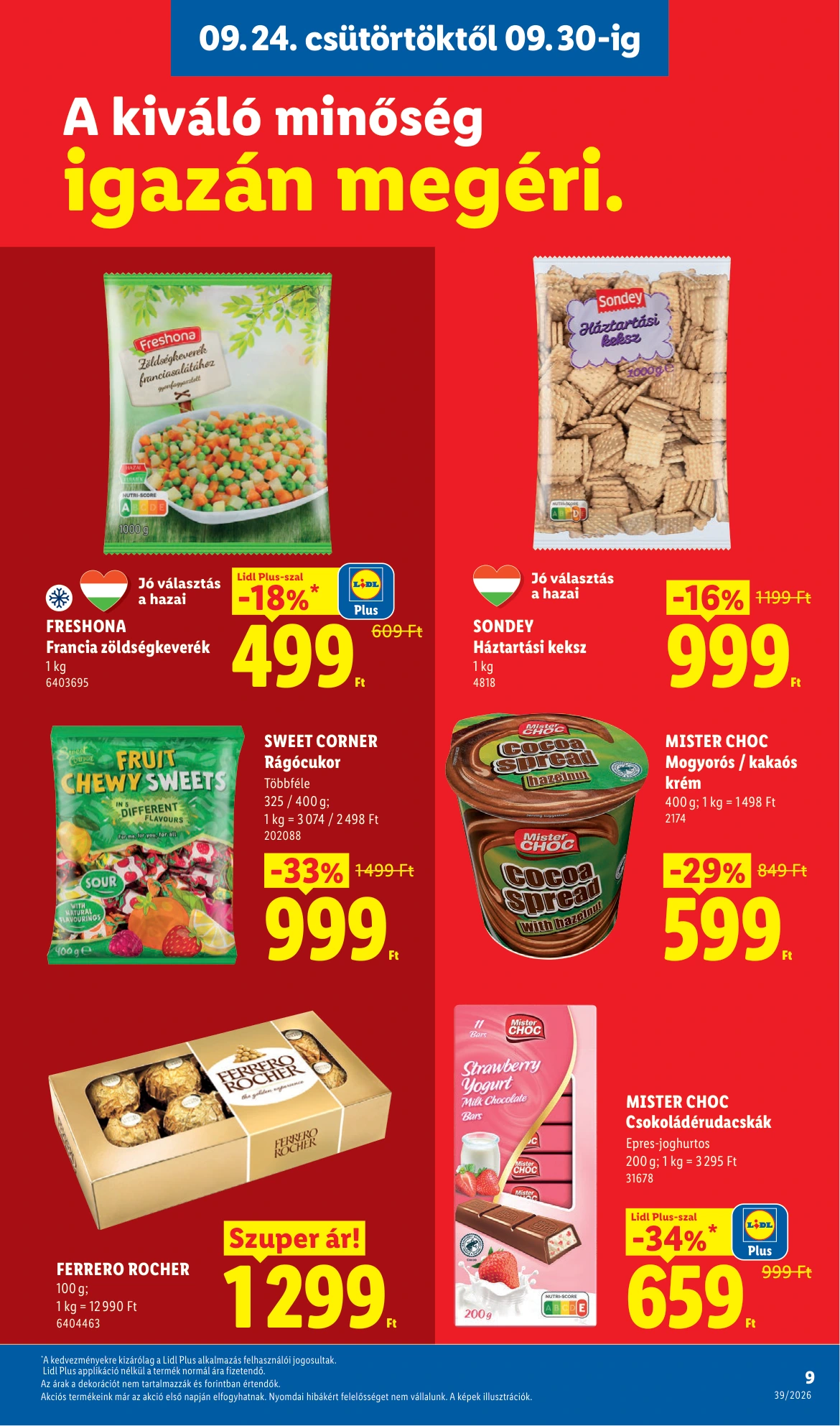 Flyer page 9