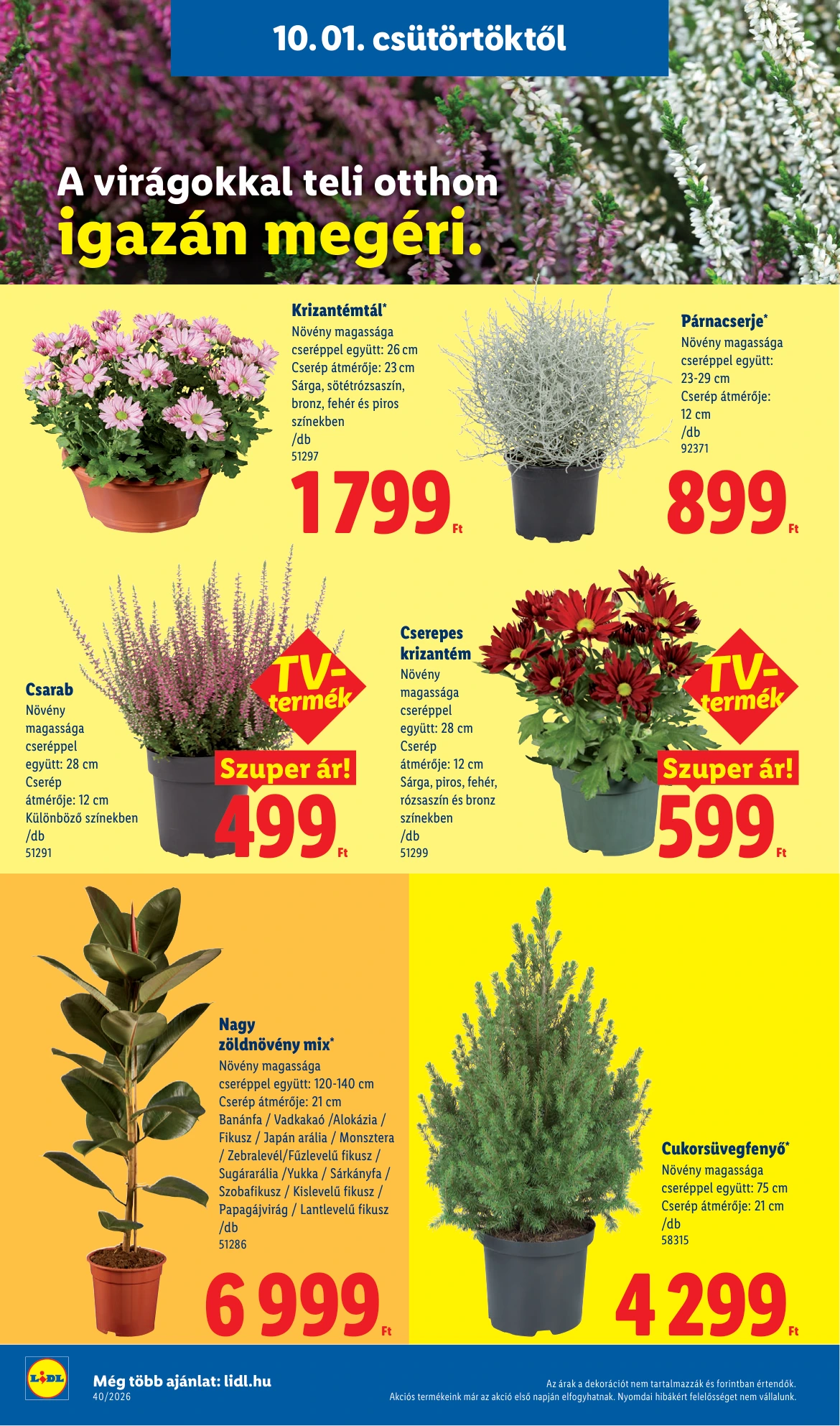 Flyer page 26