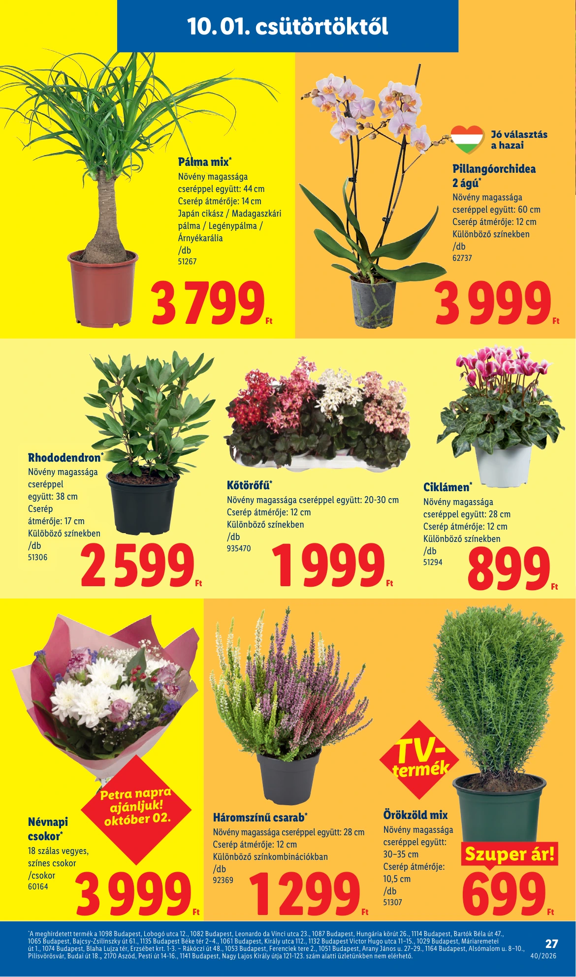 Flyer page 27