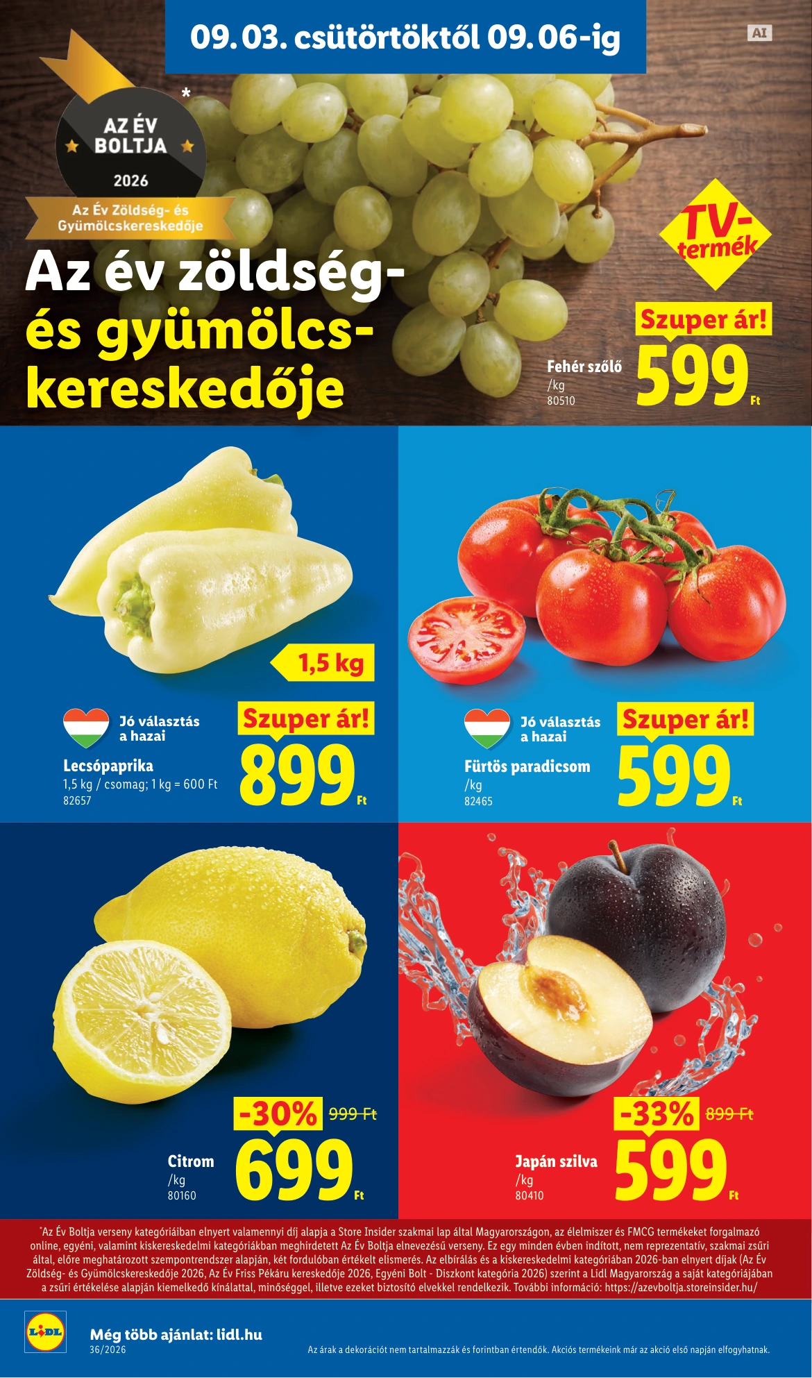 Flyer page 2