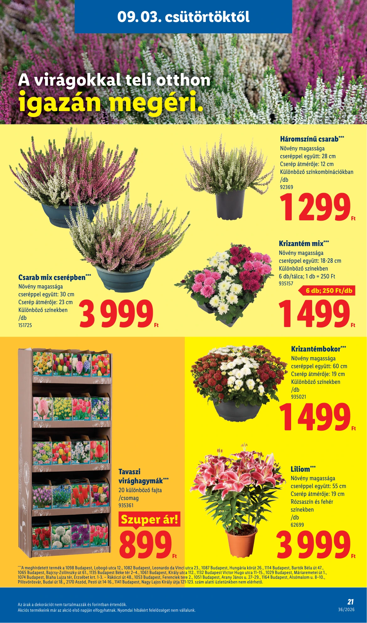 Flyer page 21