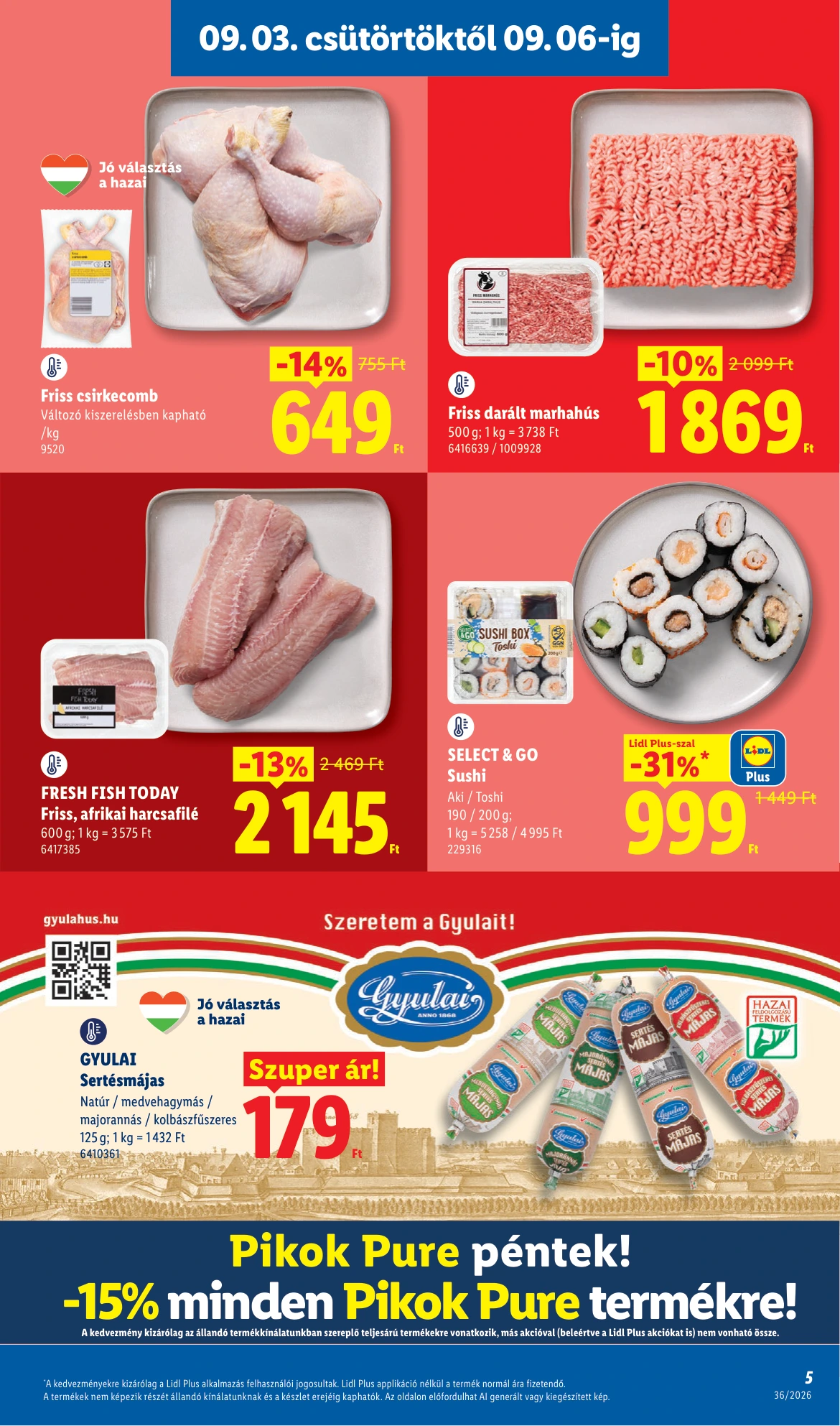 Flyer page 5