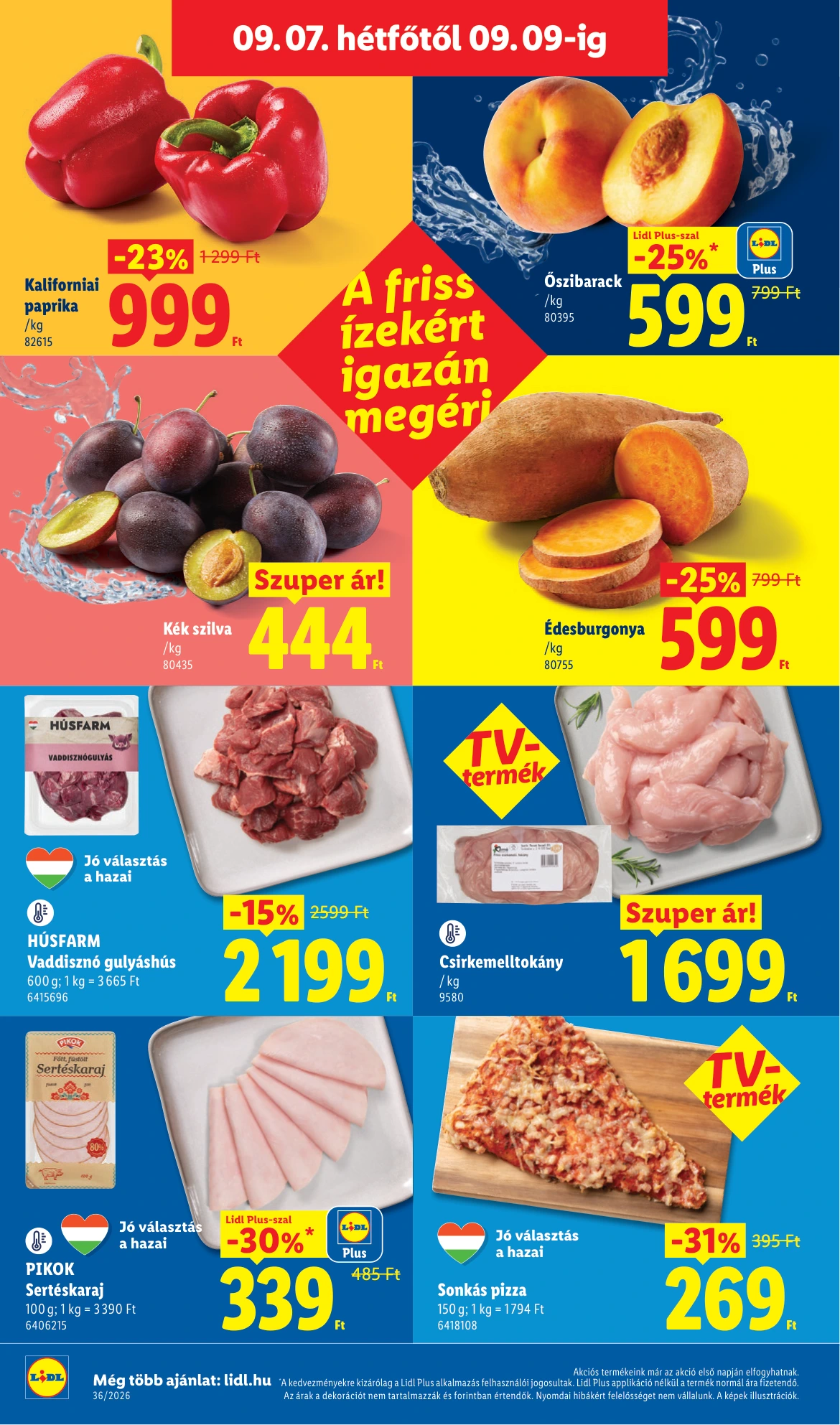 Flyer page 54