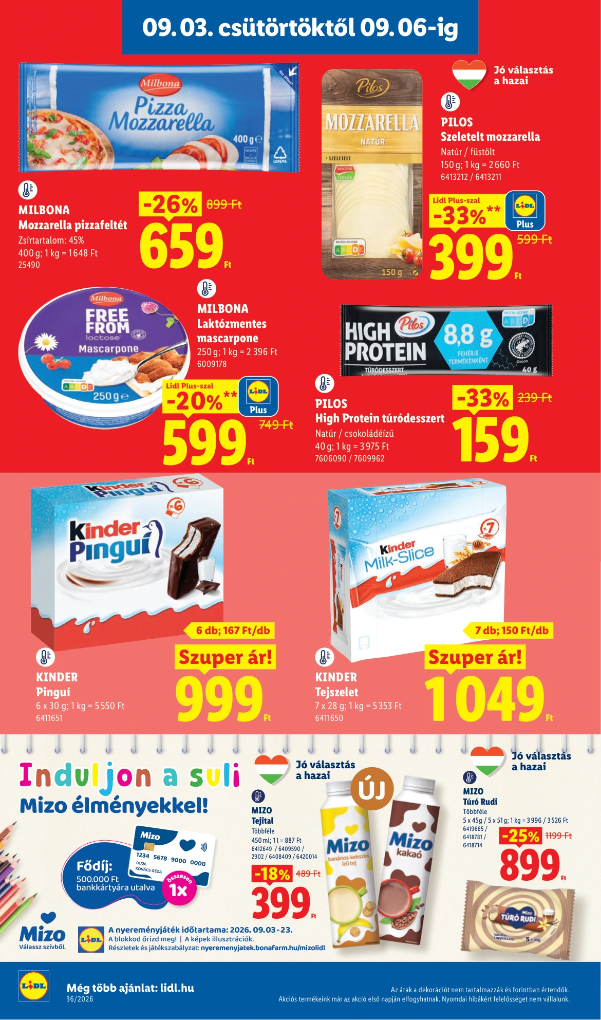 Flyer page 8