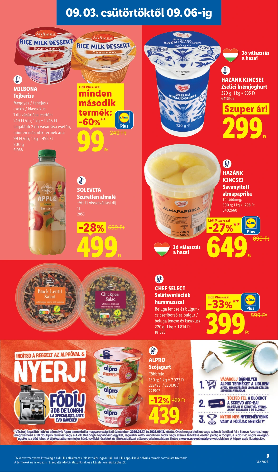 Flyer page 9
