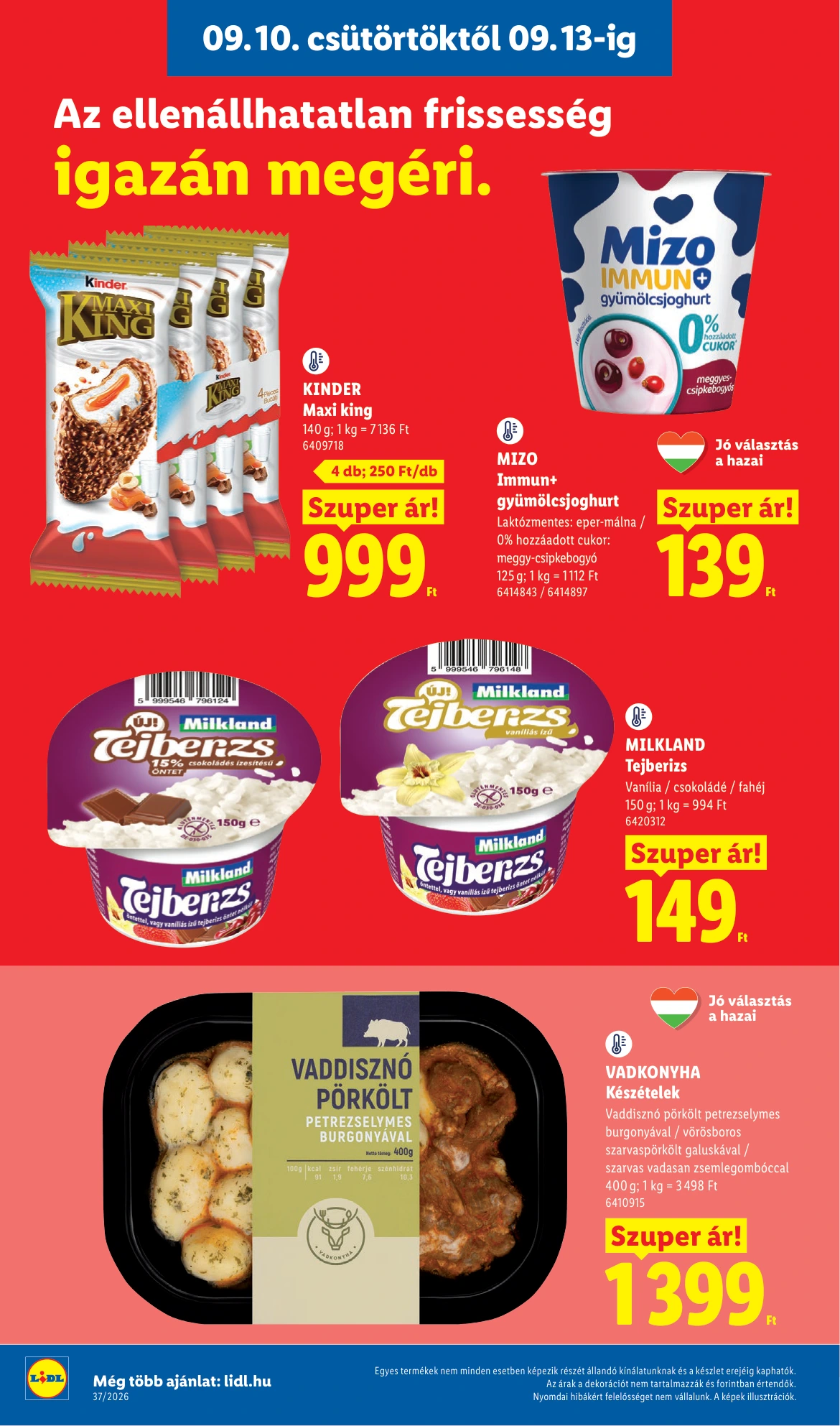 Flyer page 10