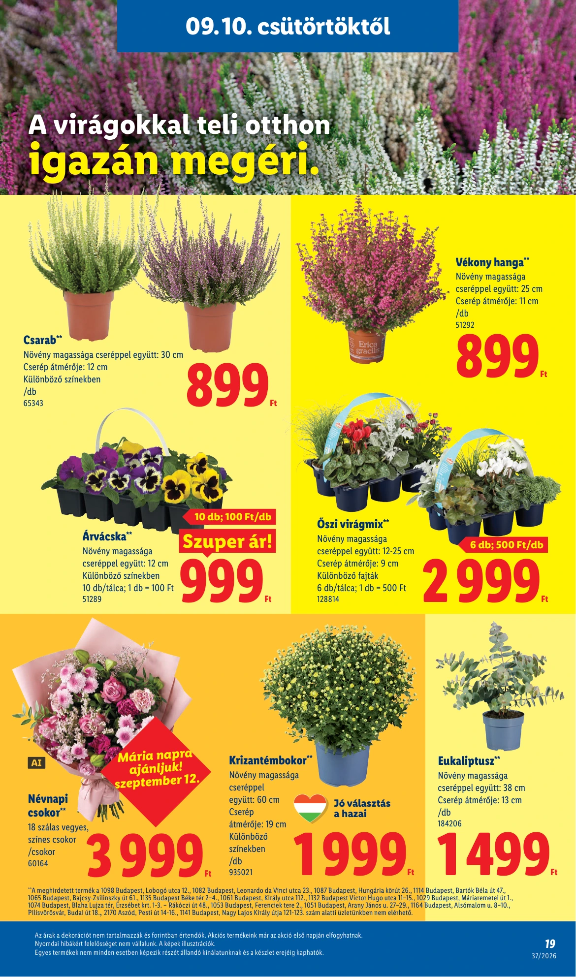 Flyer page 19