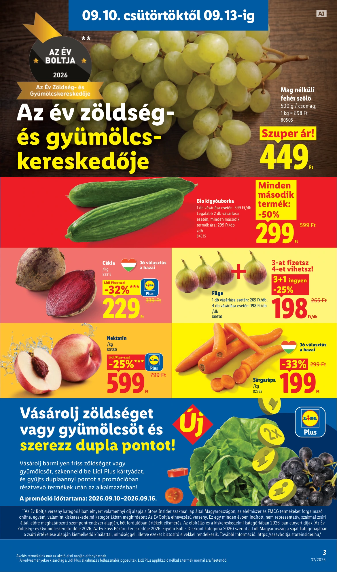 Flyer page 3
