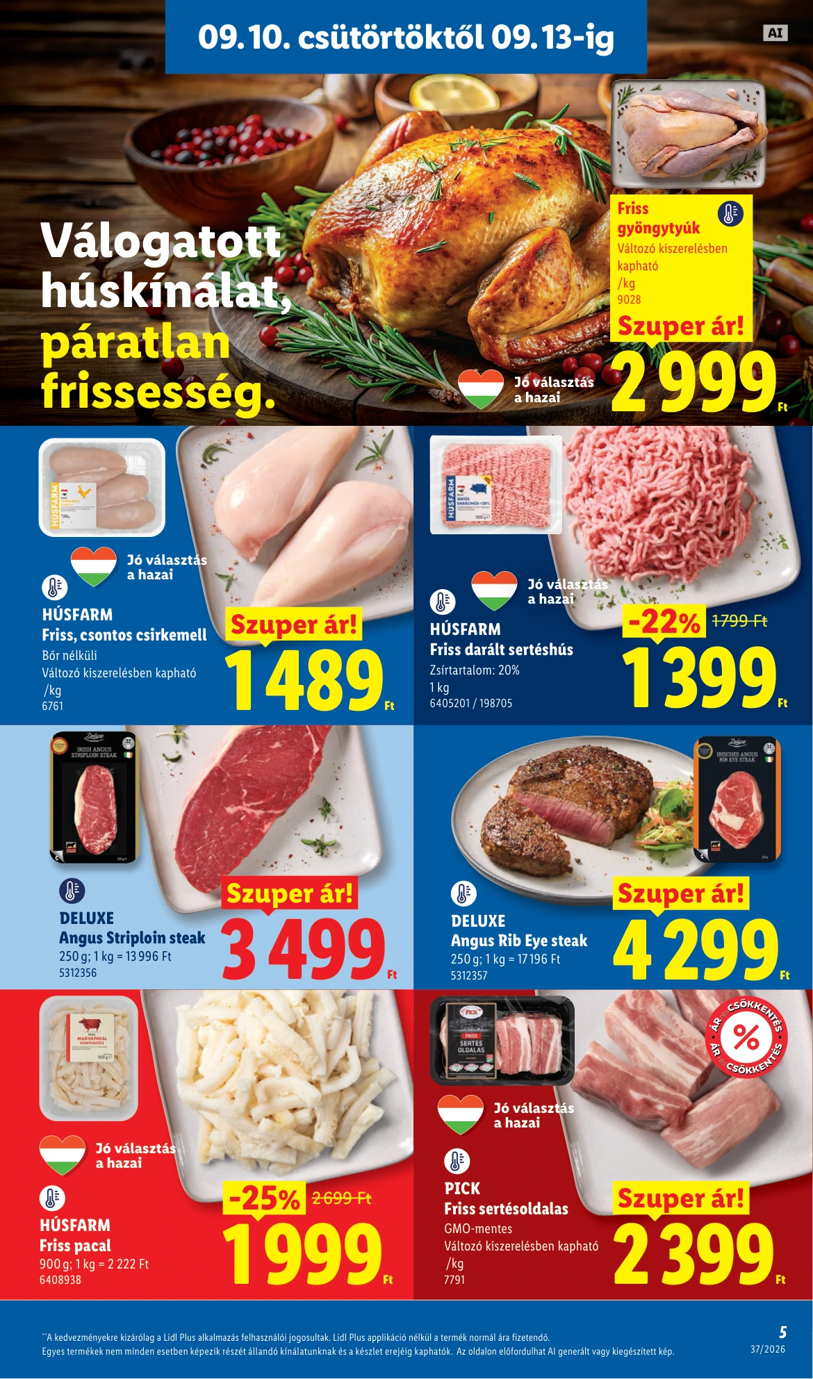 Flyer page 5