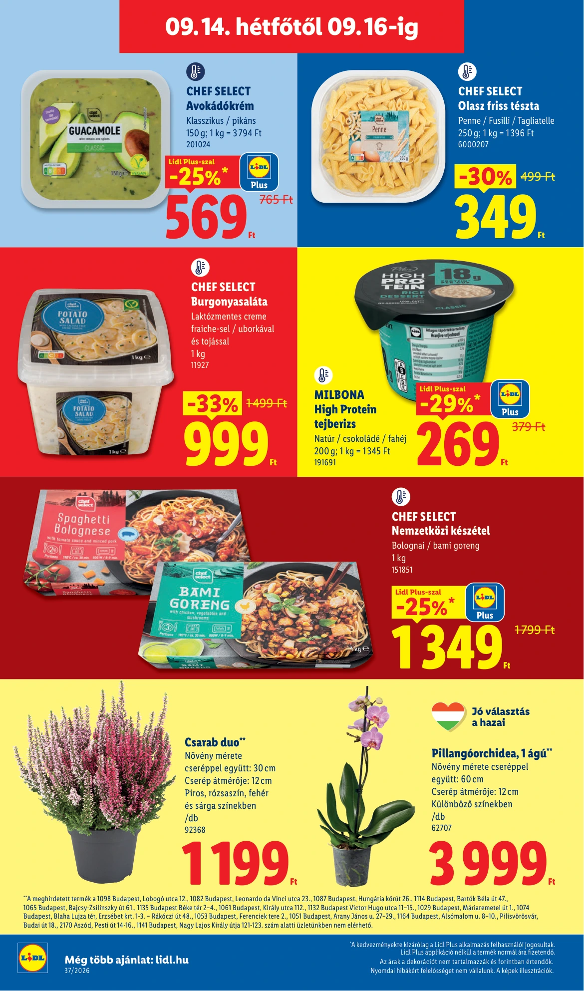 Flyer page 60