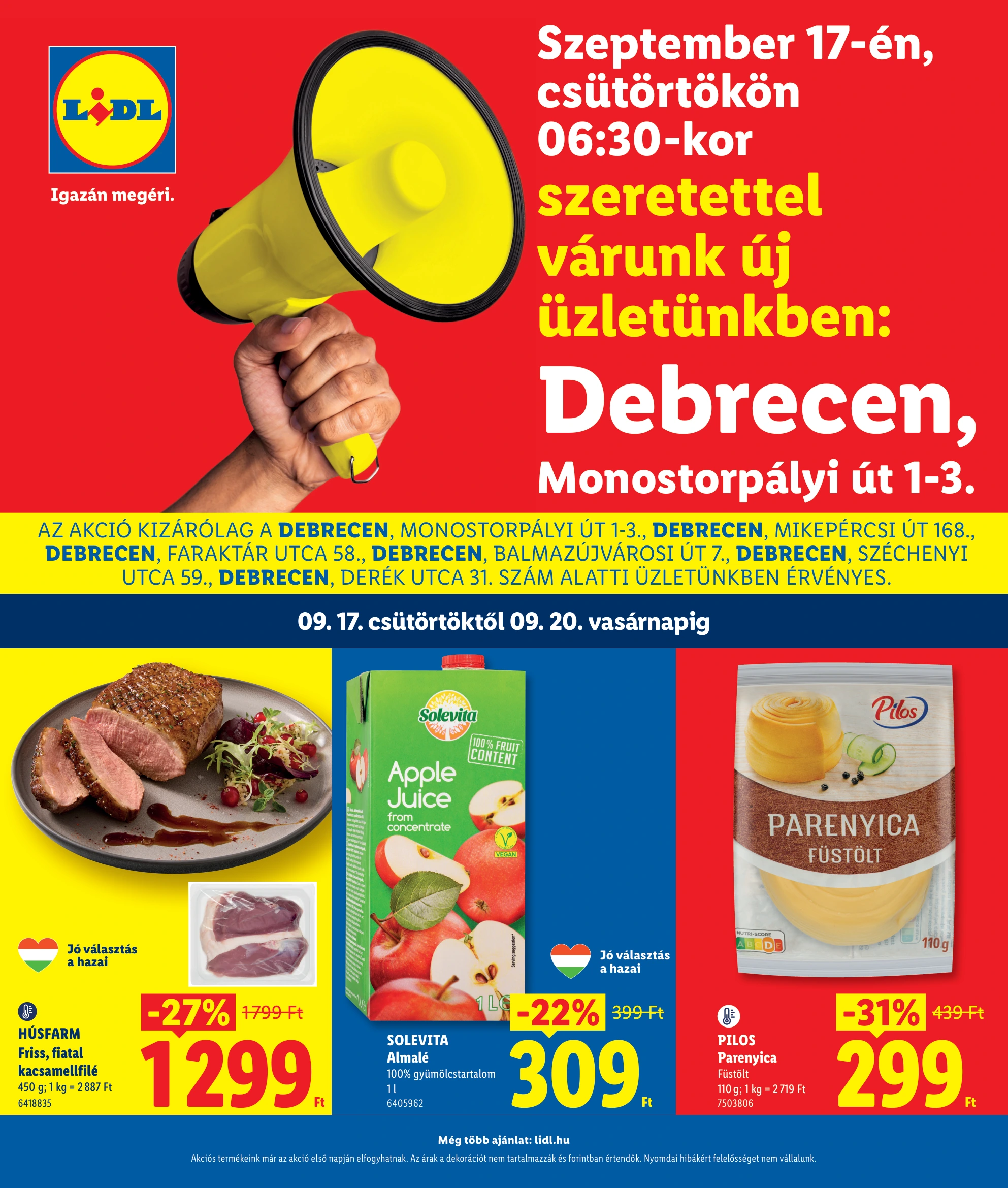 Flyer page 1