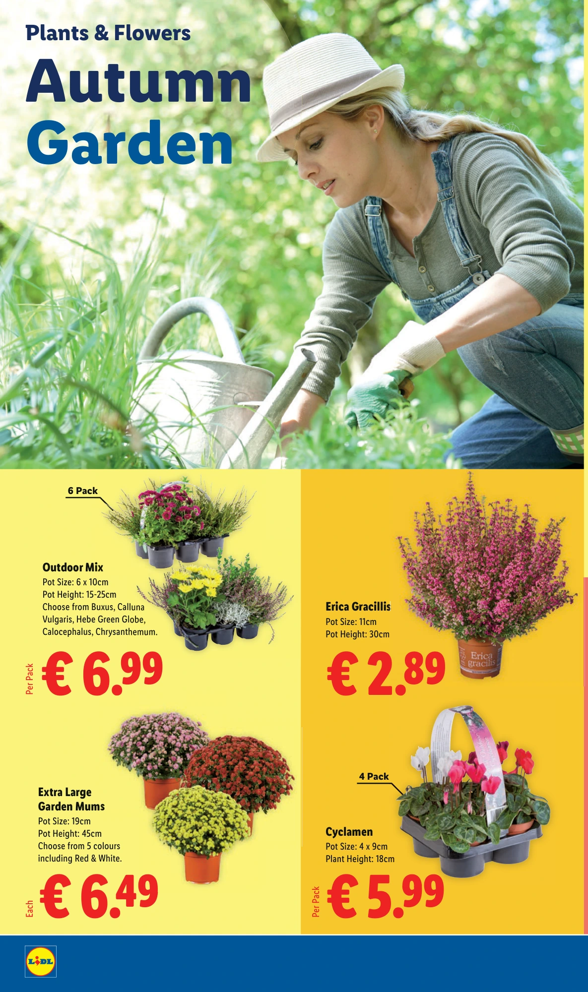 Flyer page 26
