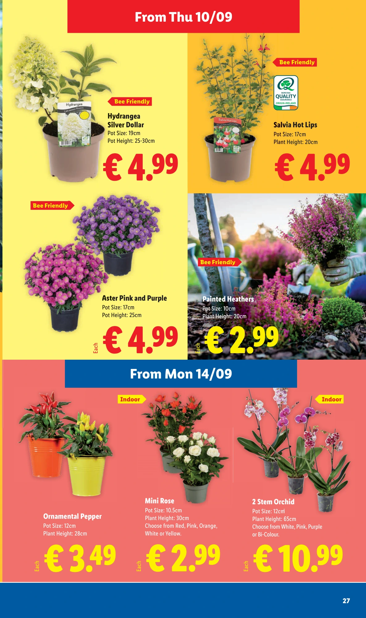 Flyer page 27