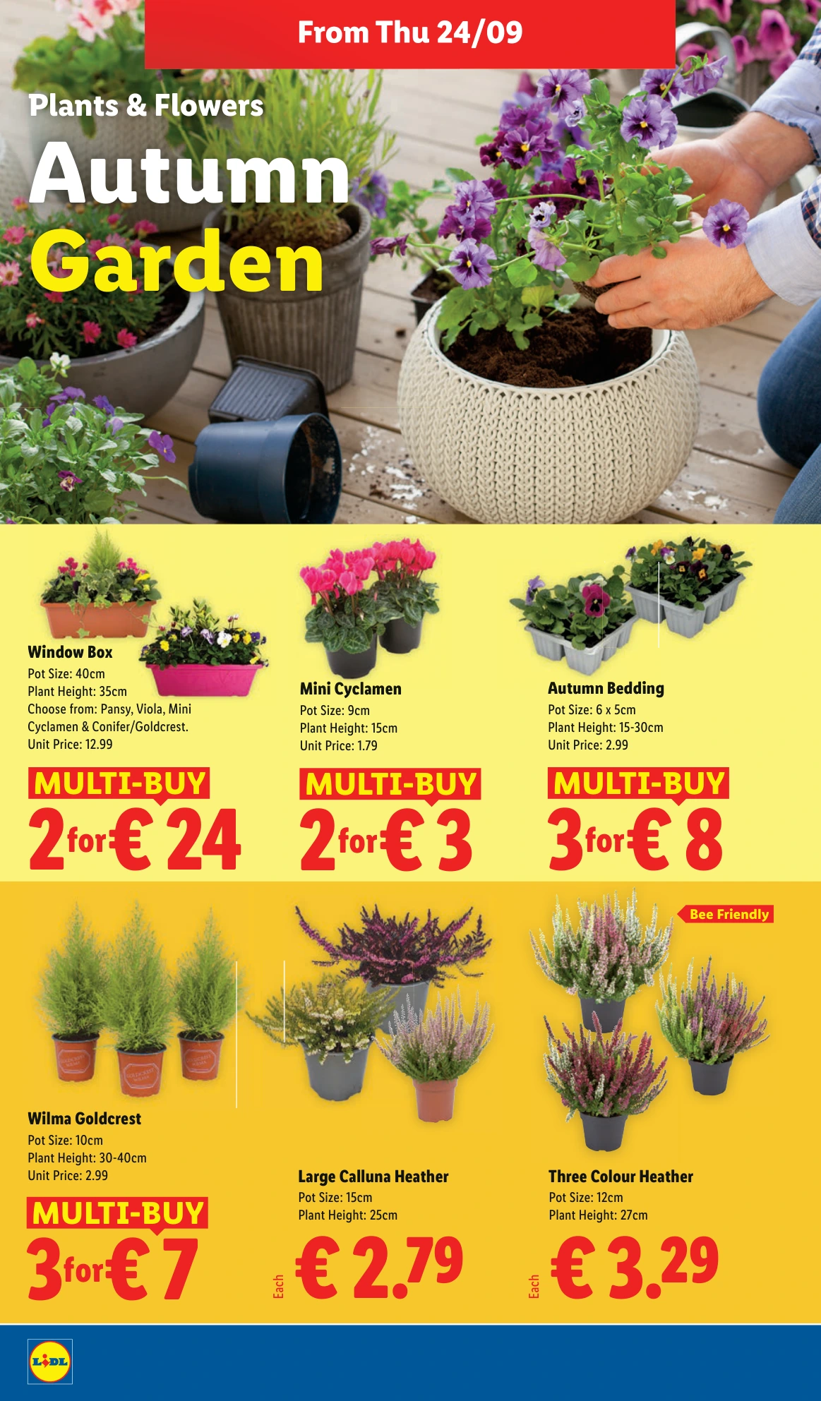 Flyer page 22