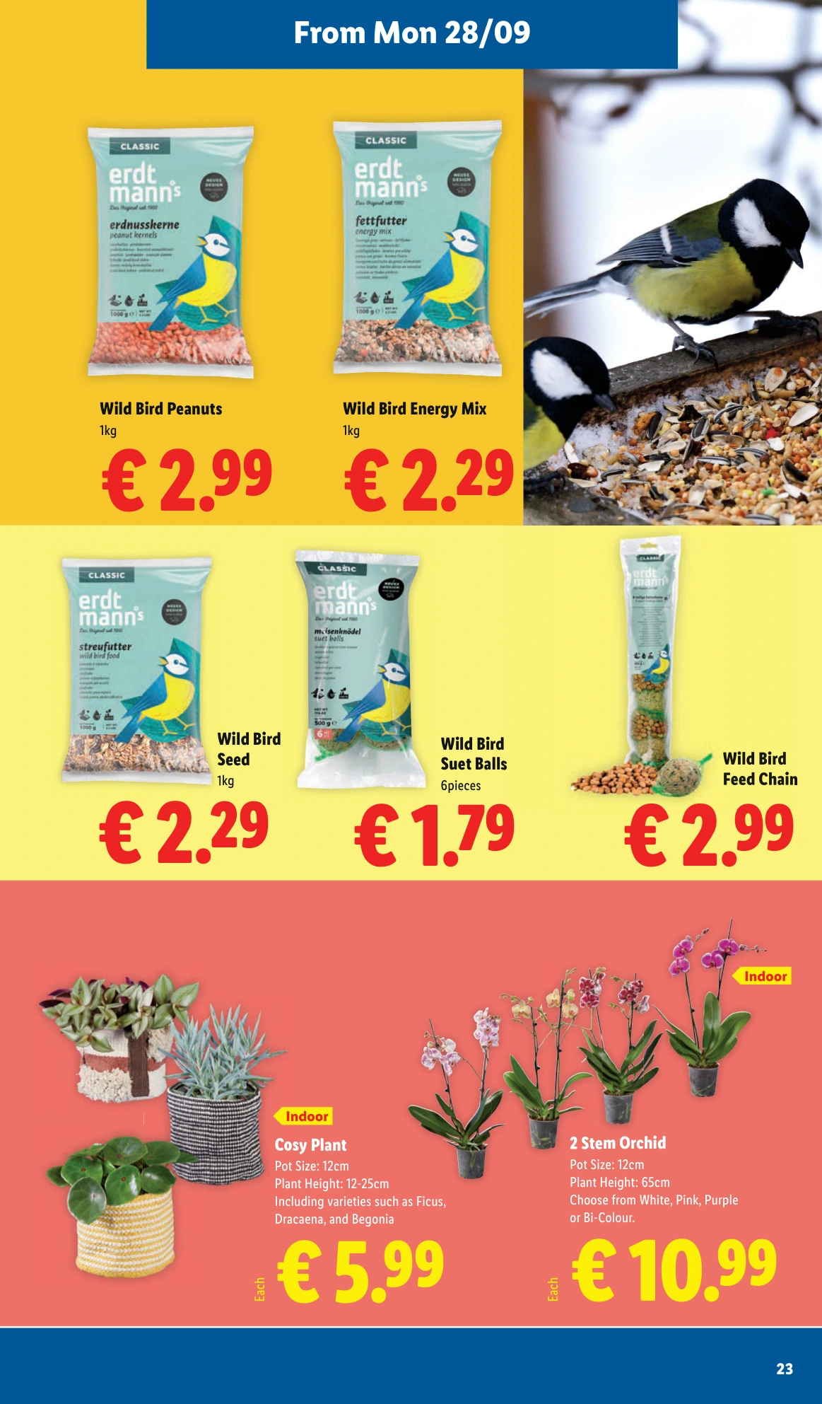 Flyer page 23