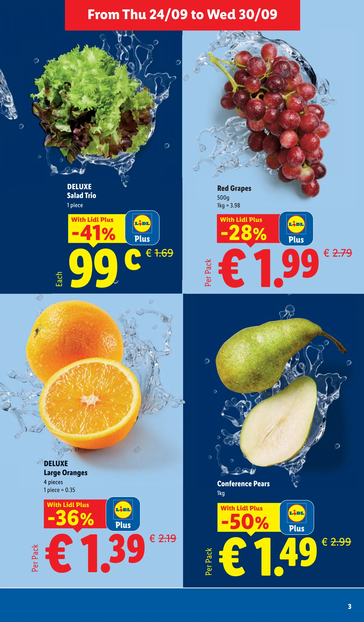 Flyer page 3