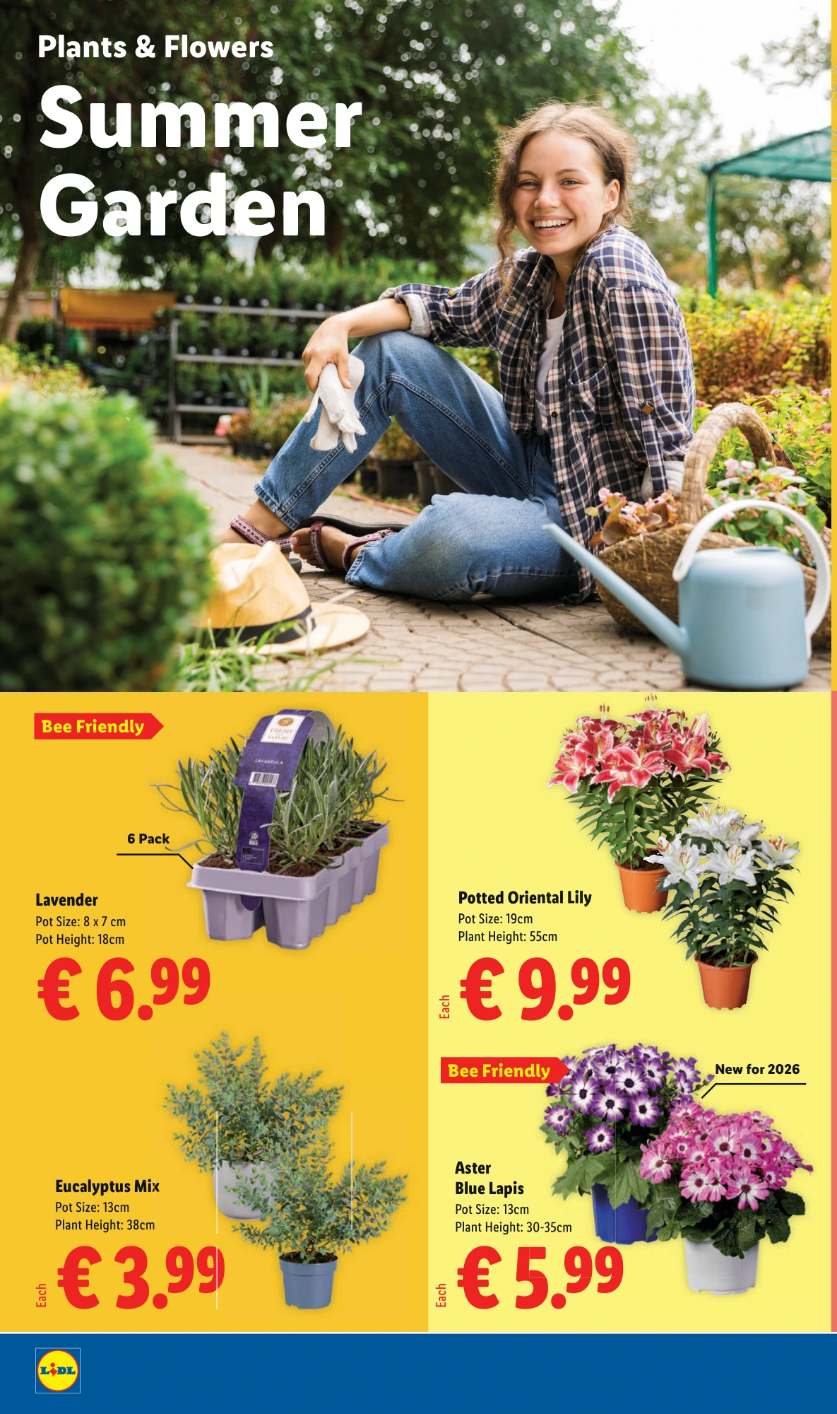 Flyer page 22