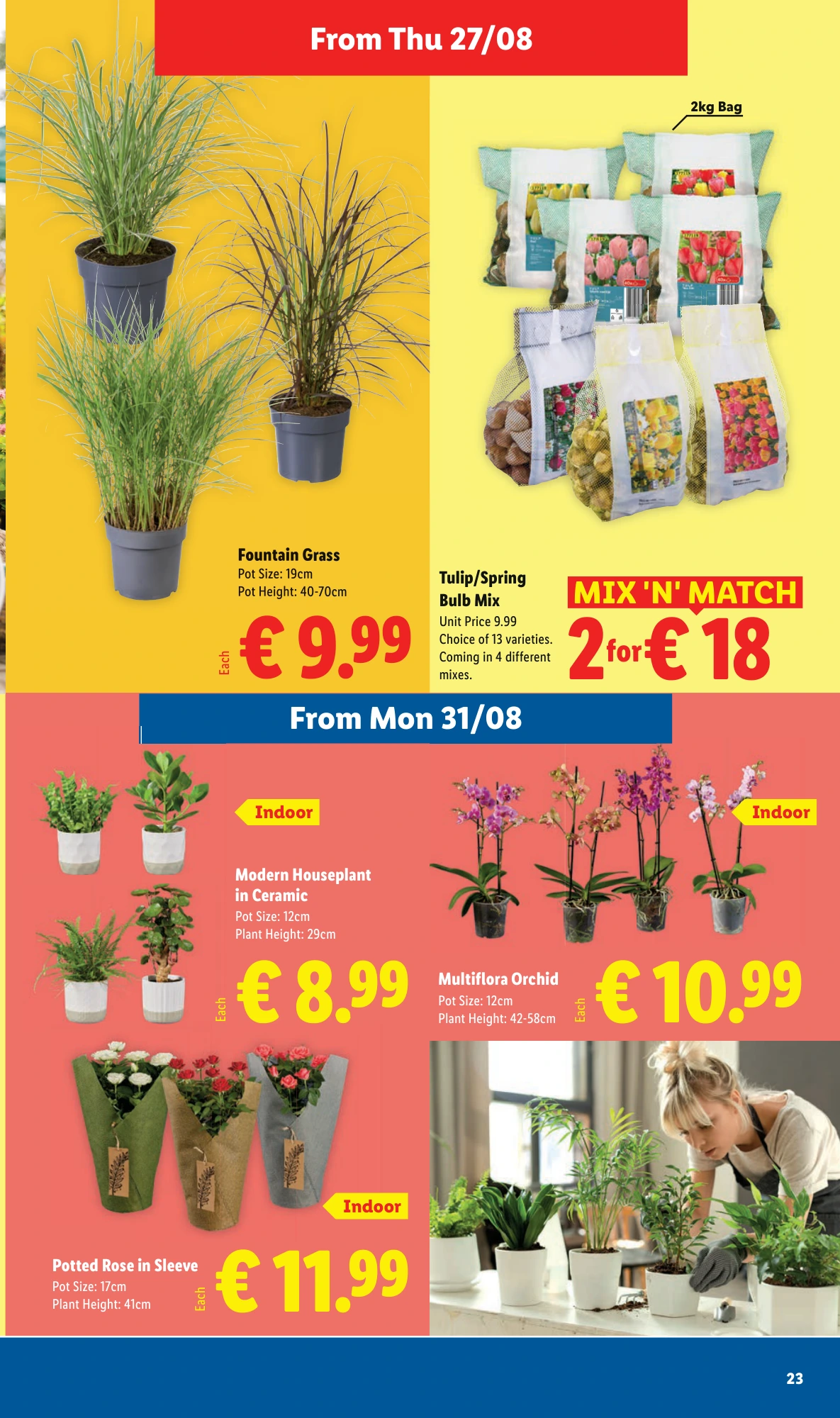 Flyer page 23