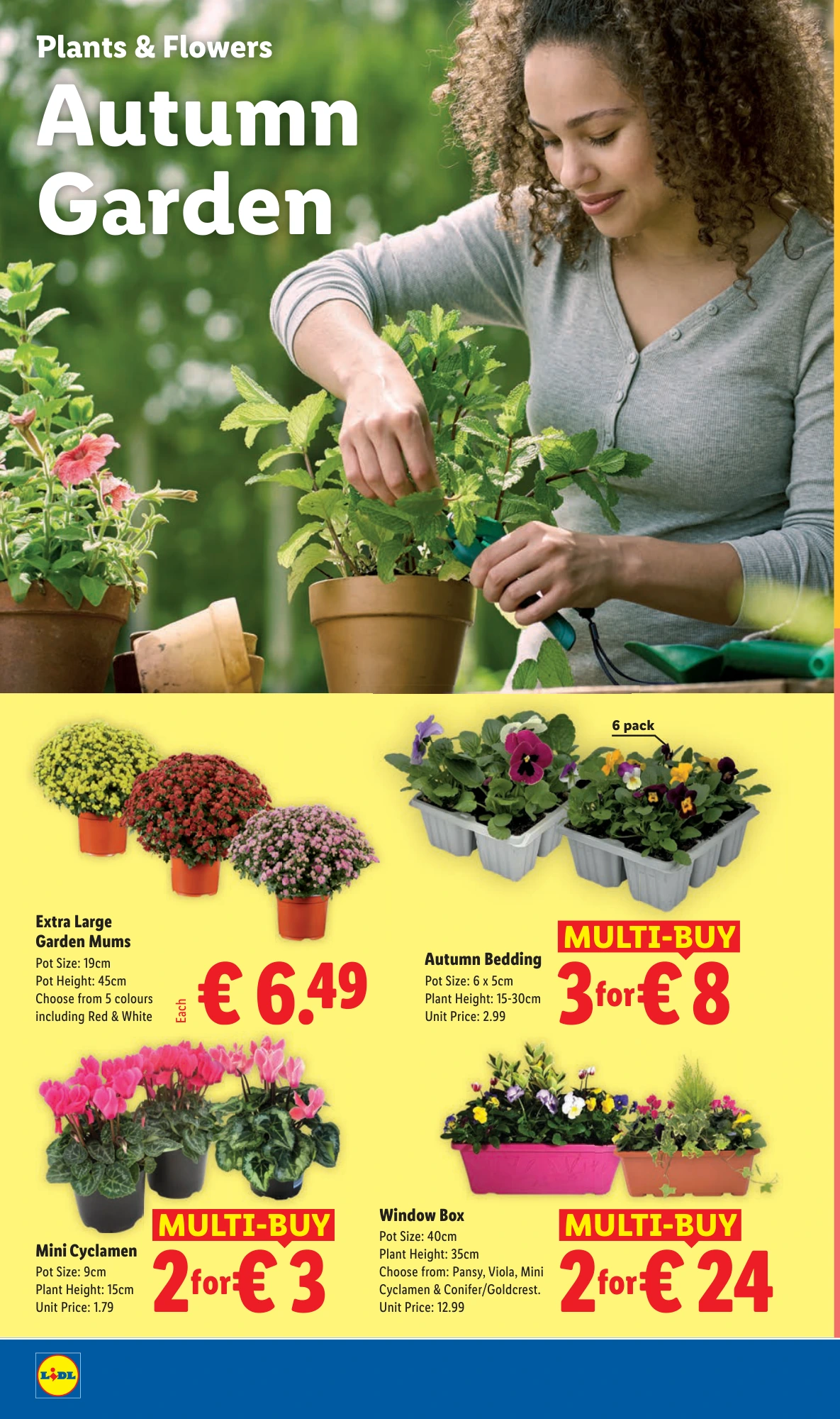 Flyer page 24
