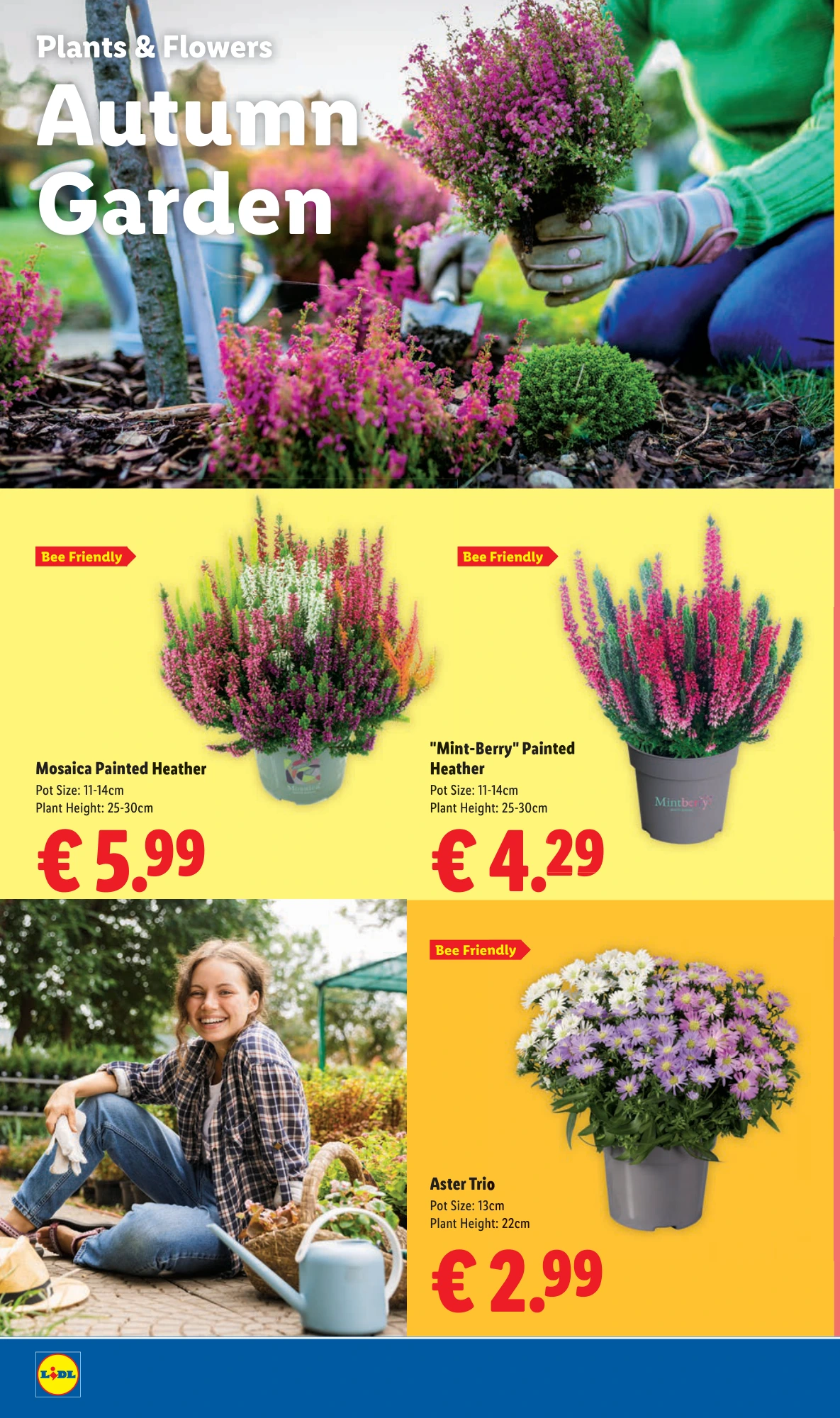 Flyer page 26