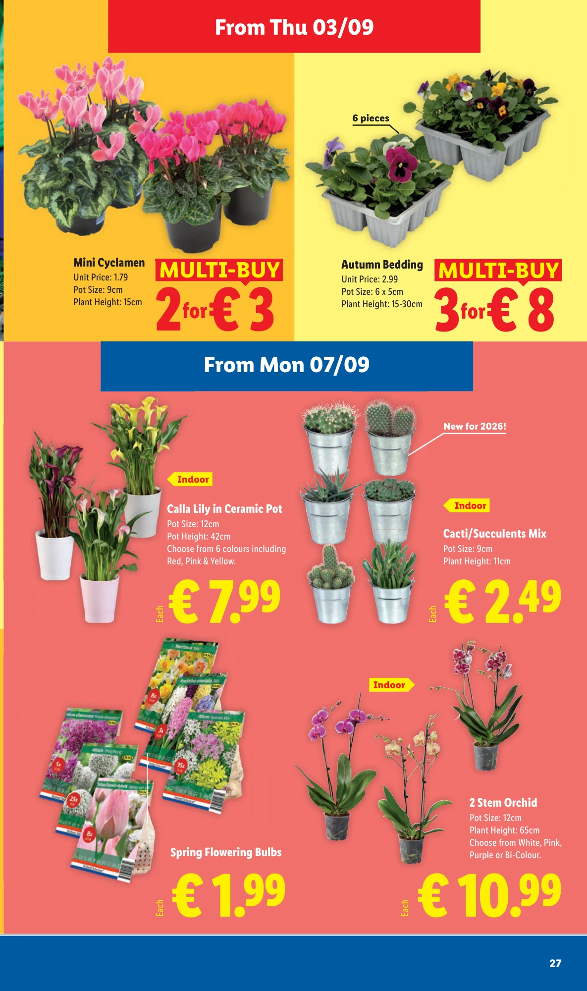 Flyer page 27