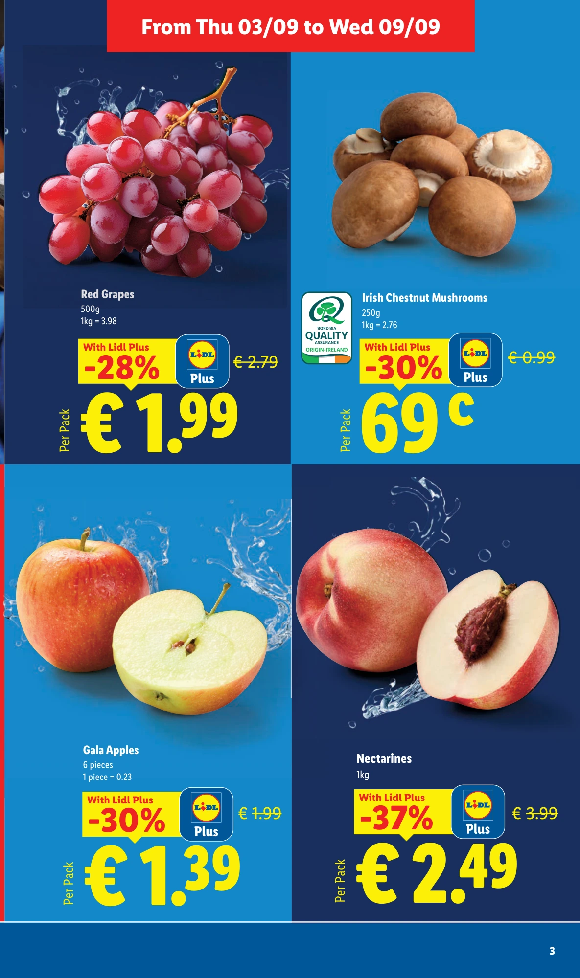 Flyer page 3