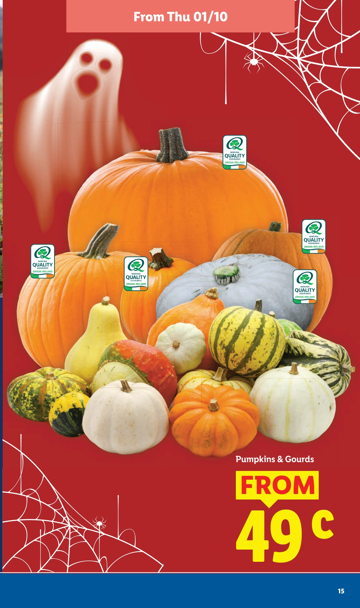Flyer page 15