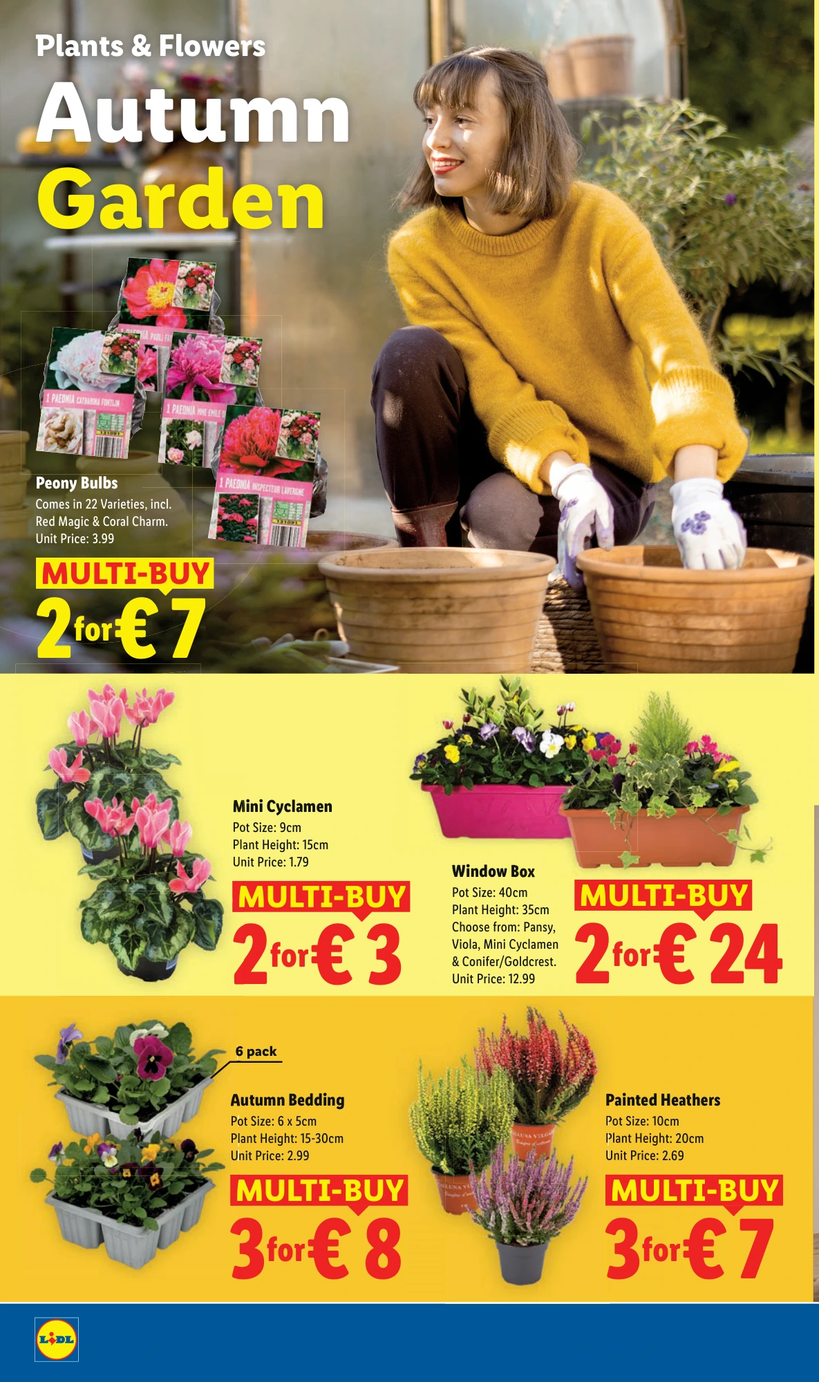 Flyer page 22
