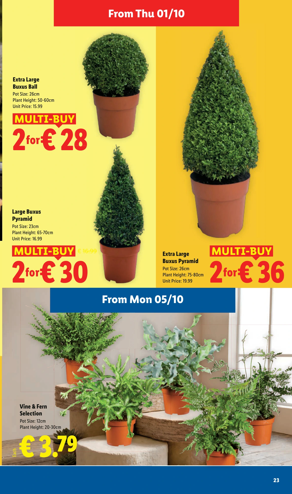 Flyer page 23