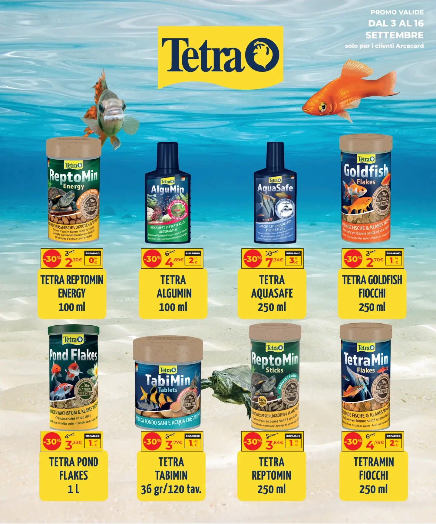 Flyer page 20