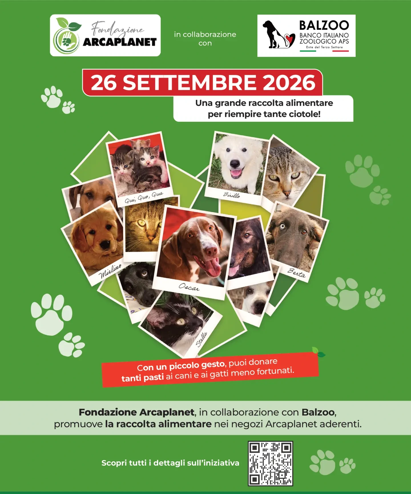 Flyer page 31