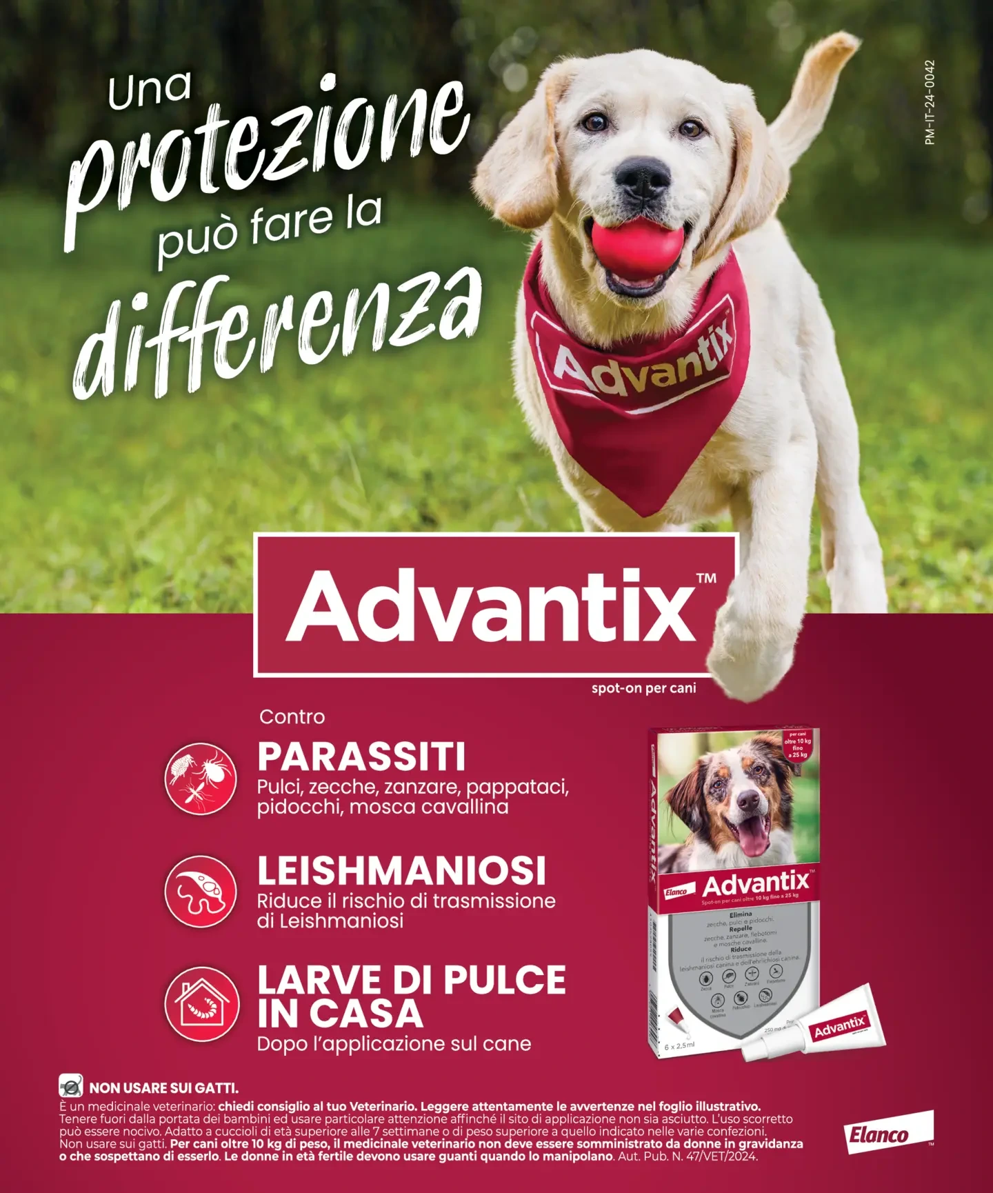 Flyer page 32