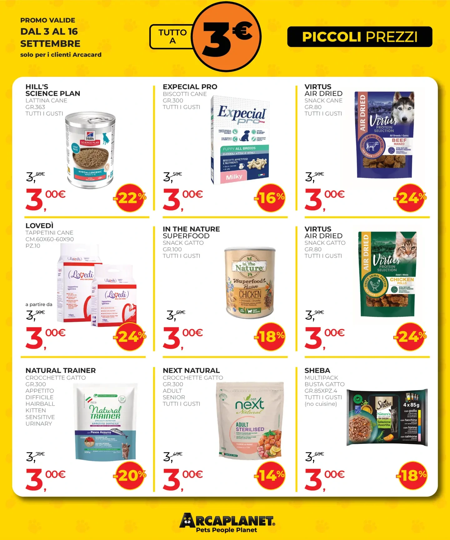 Flyer page 11