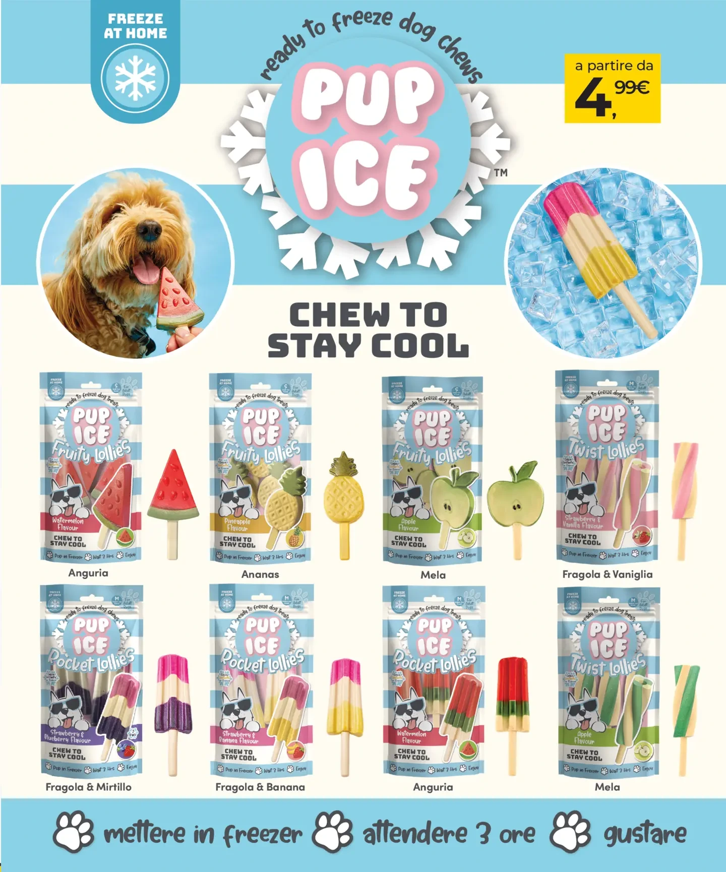 Flyer page 27