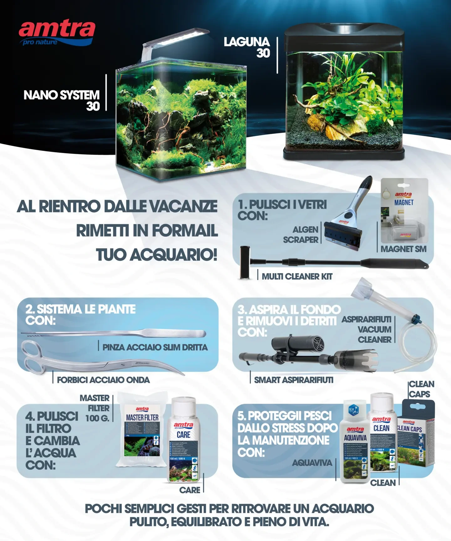 Flyer page 31