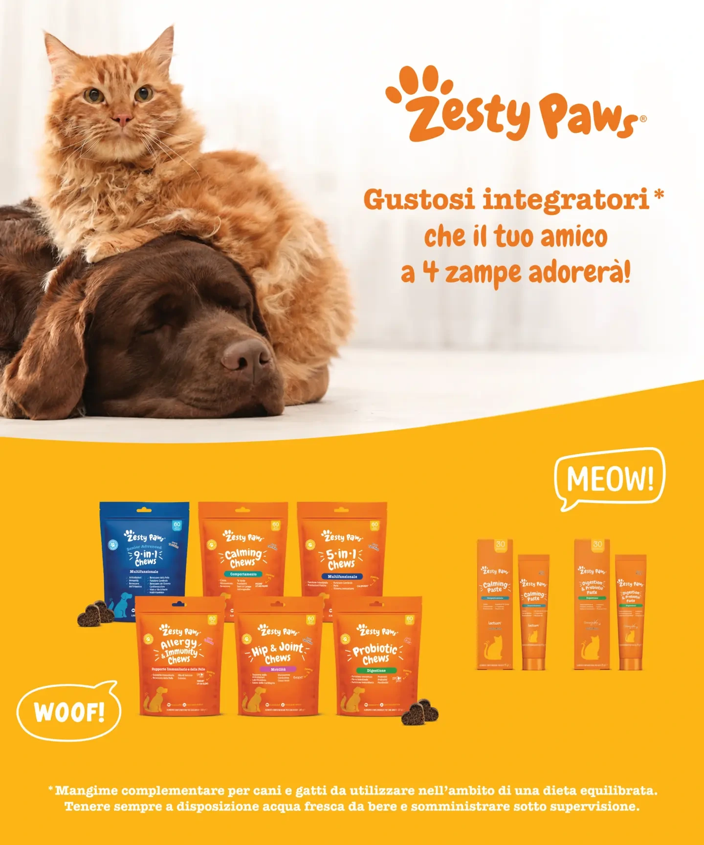 Flyer page 45