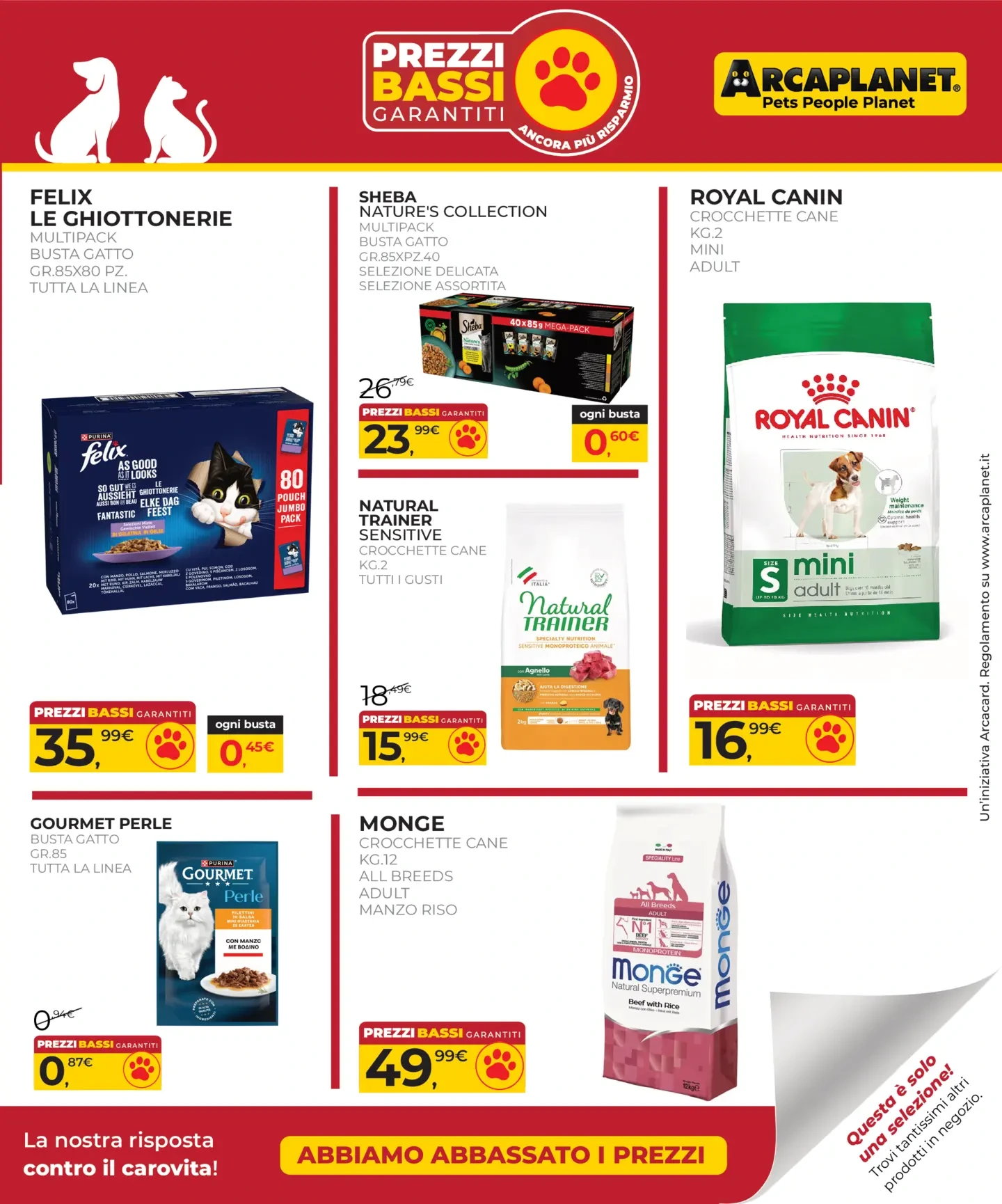 Flyer page 19