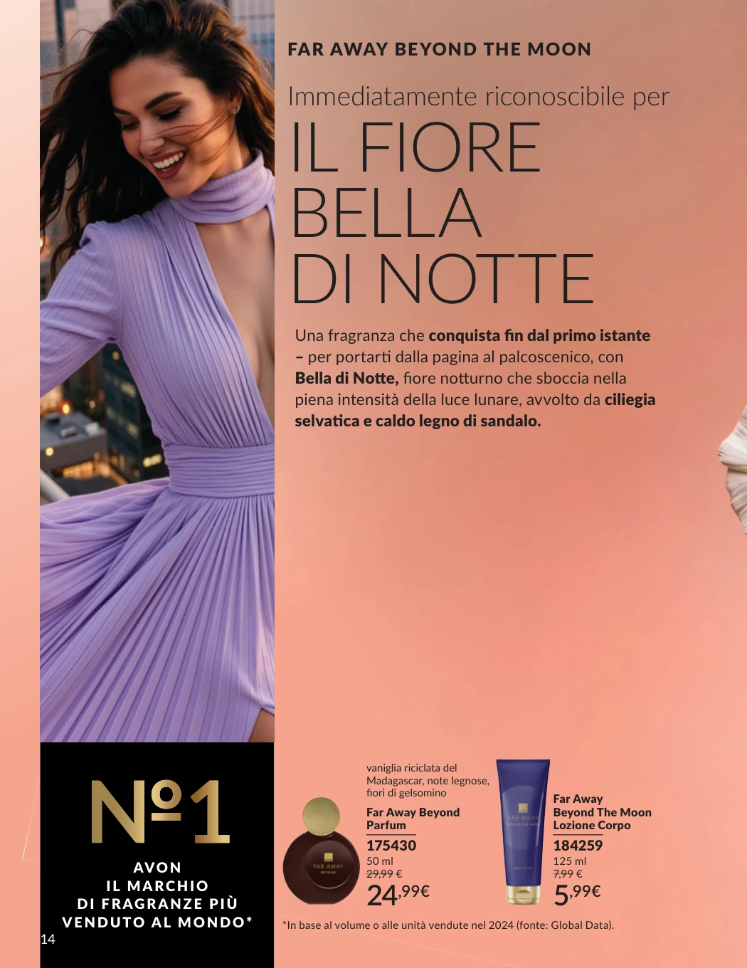 Flyer page 14