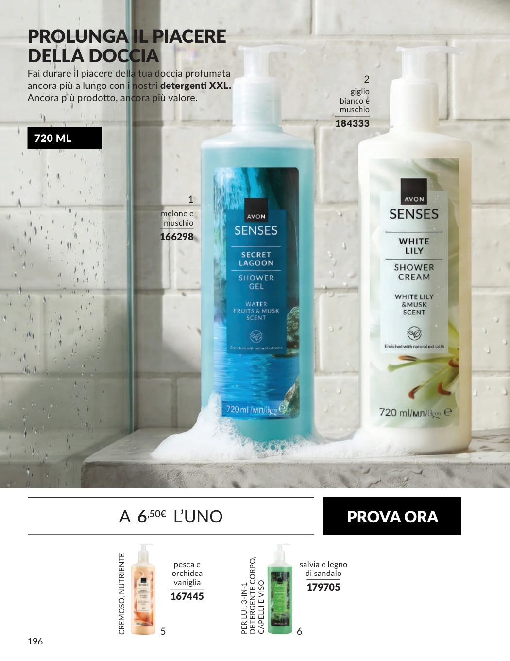 Flyer page 196