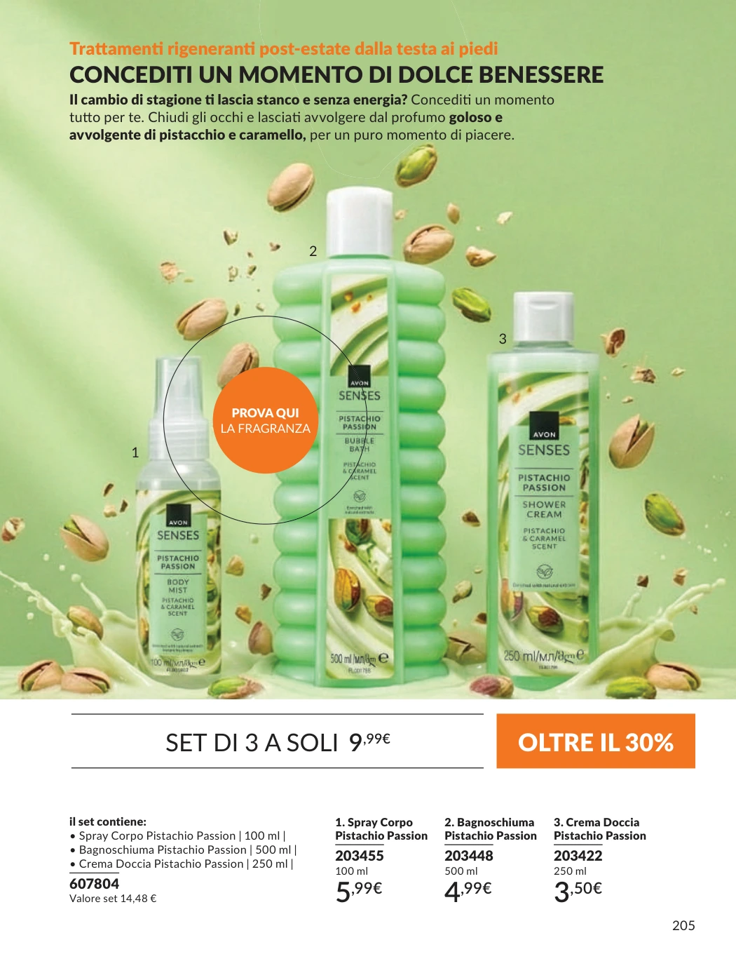 Flyer page 205