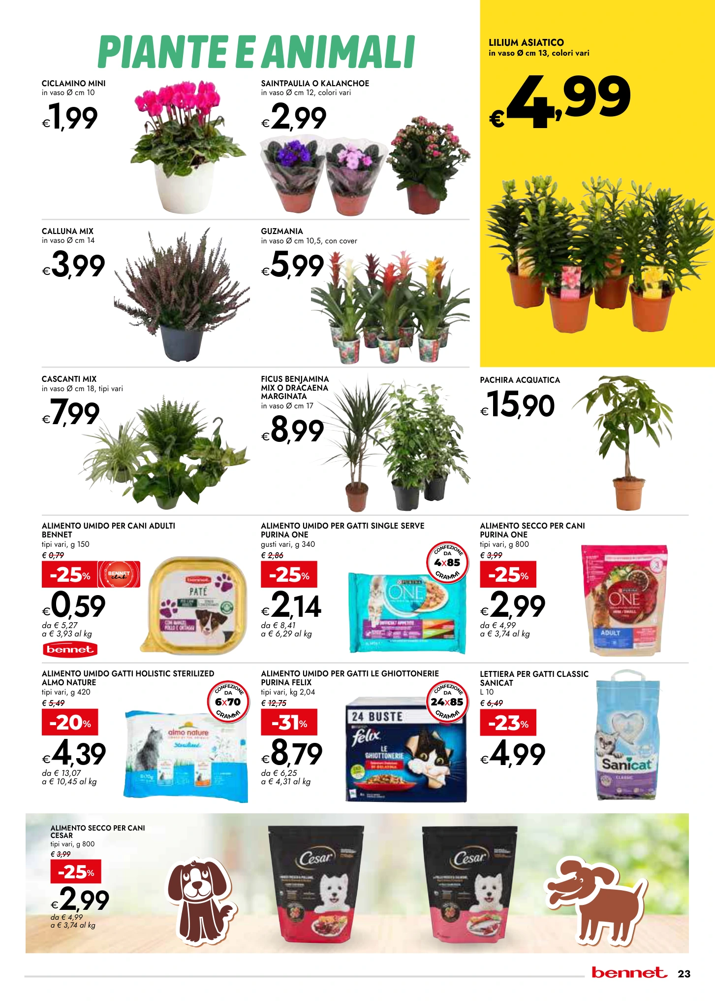 Flyer page 23