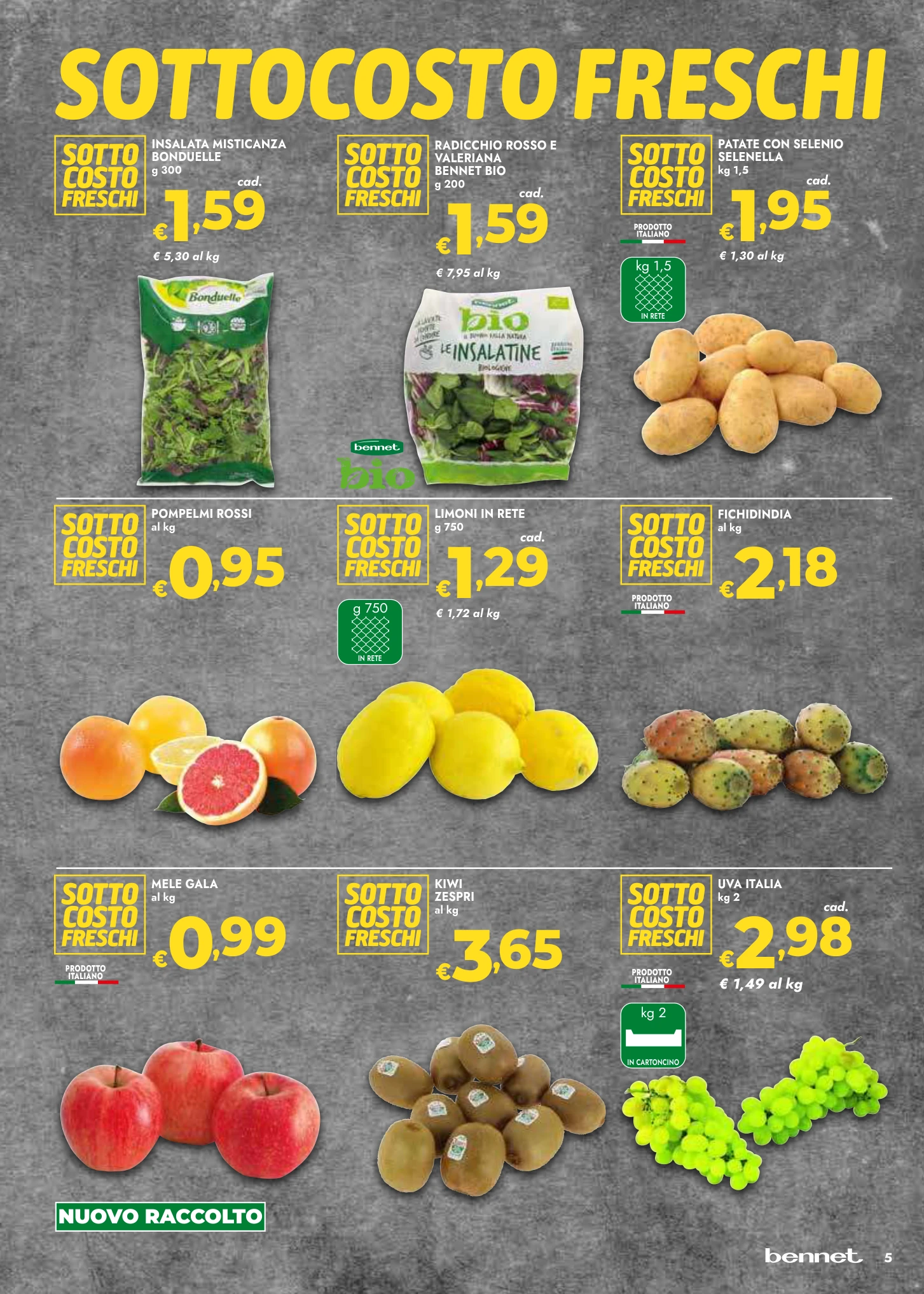 Flyer page 5