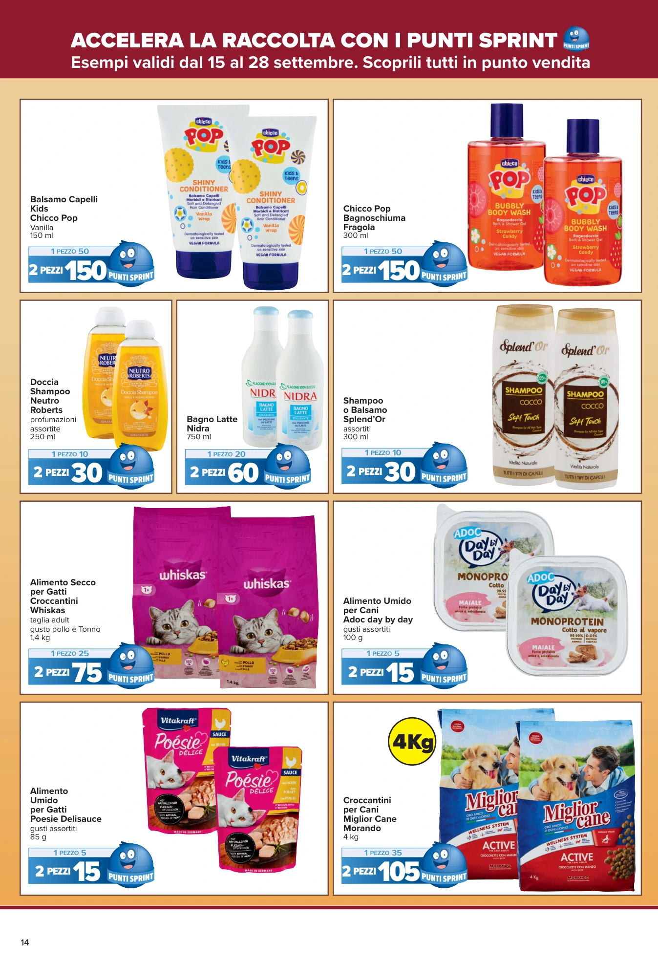 Flyer page 14