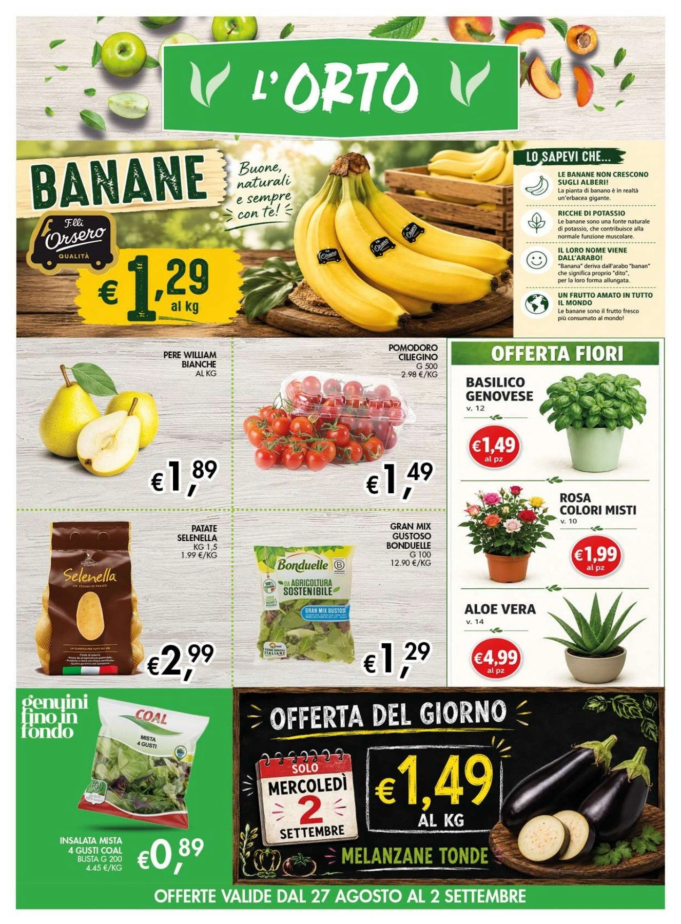 Flyer page 2