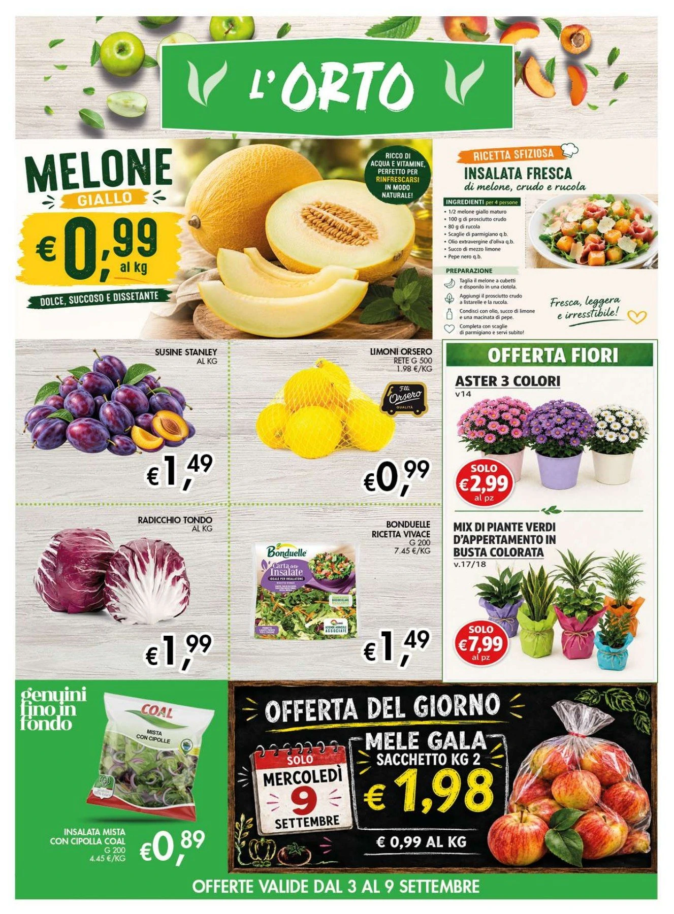 Flyer page 3