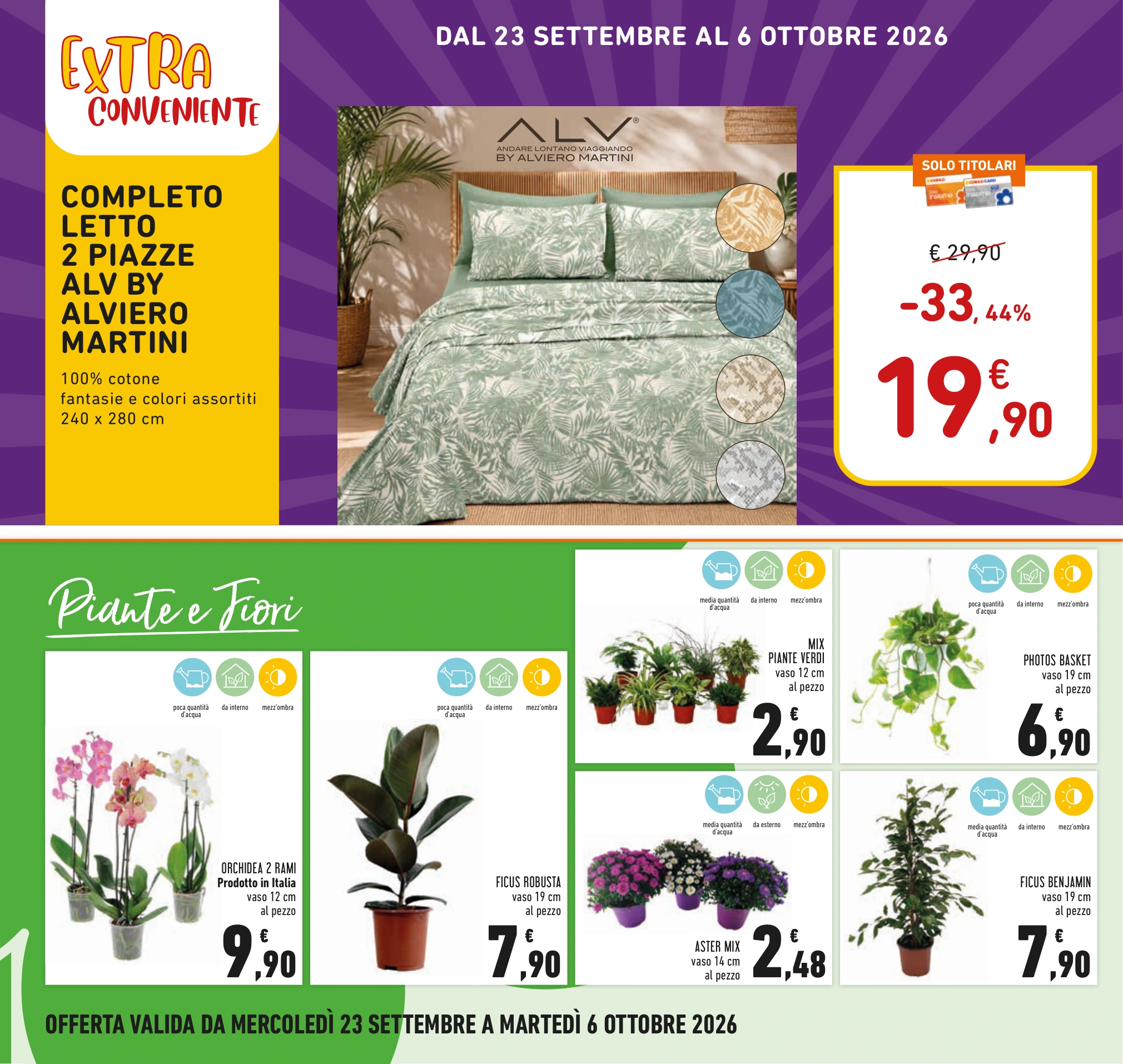 Flyer page 22