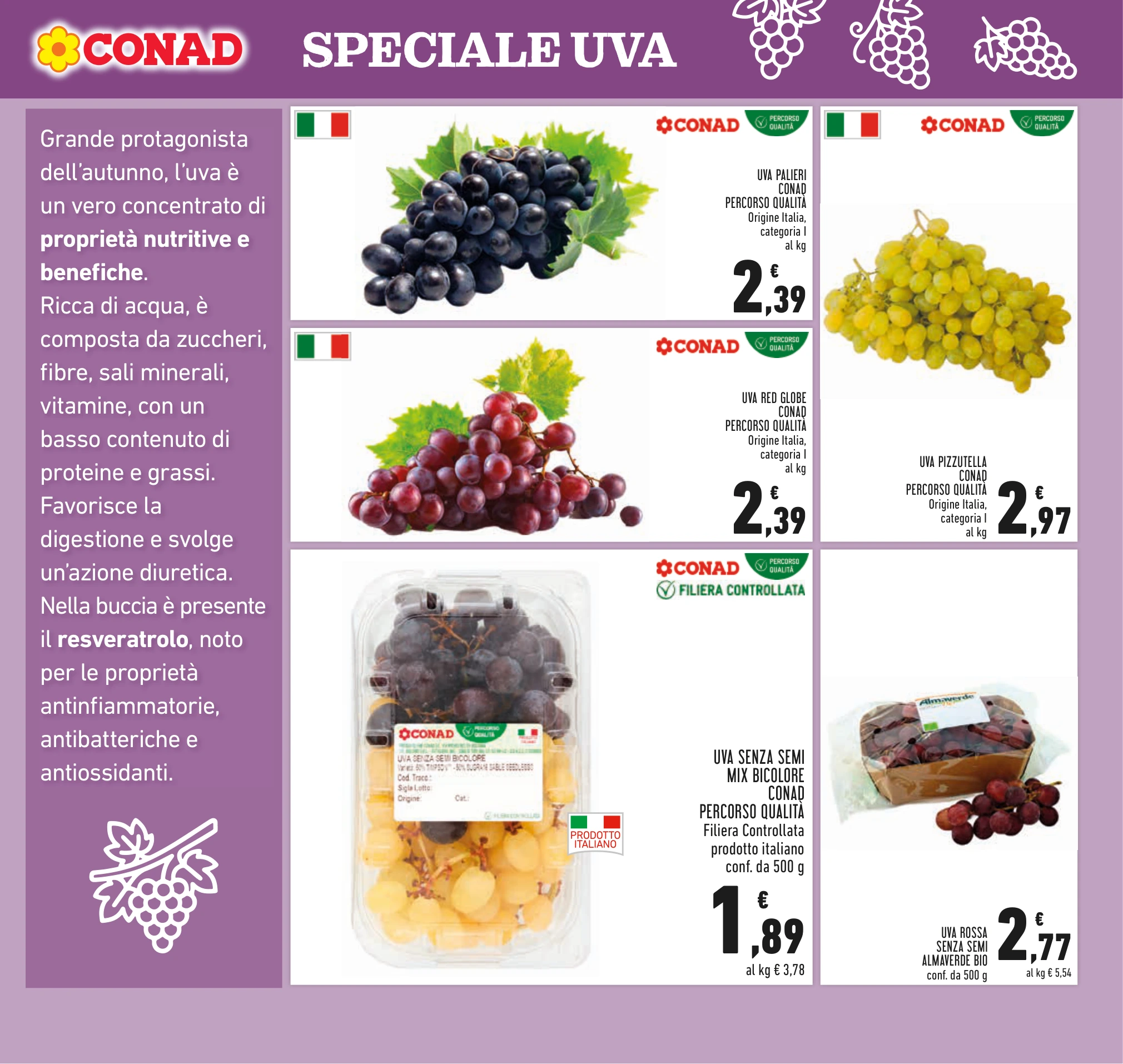 Flyer page 9