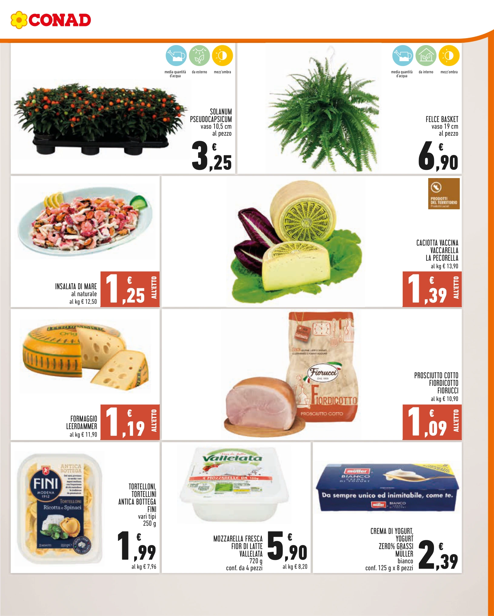 Flyer page 3